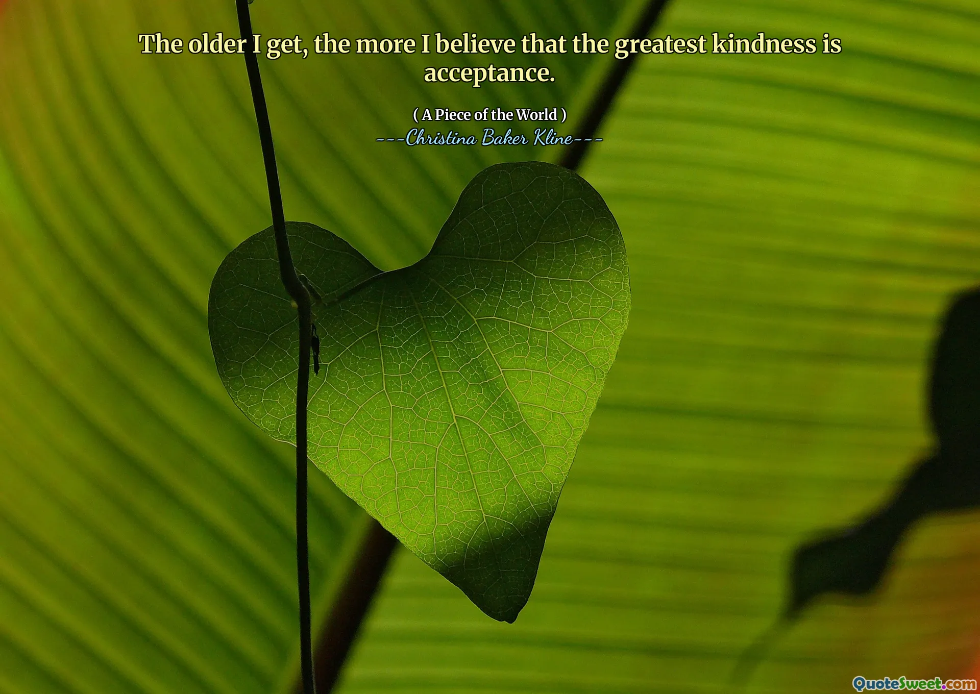 The older I get, the more I believe that the greatest kindness is acceptance.