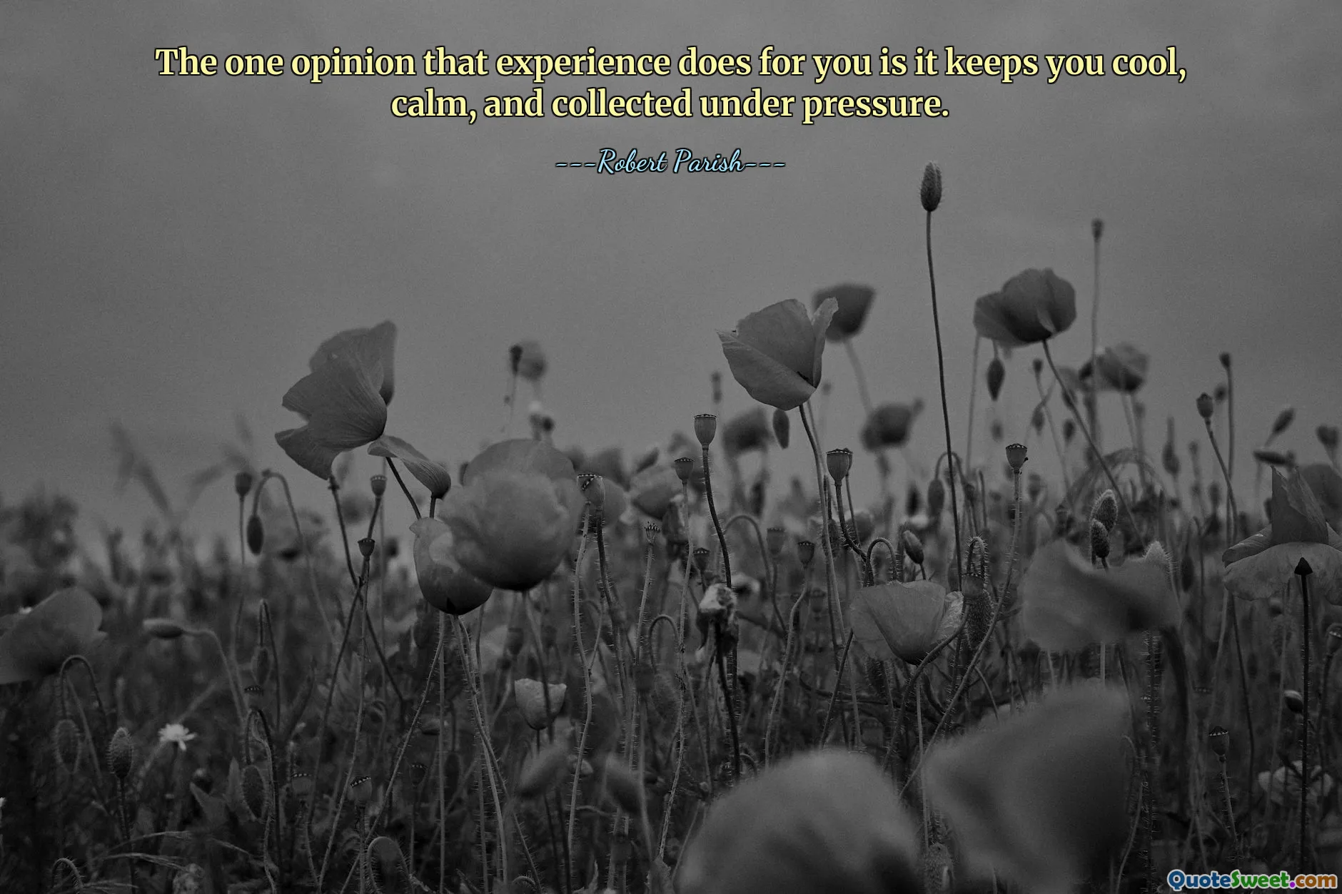The one opinion that experience does for you is it keeps you cool, calm, and collected under pressure.