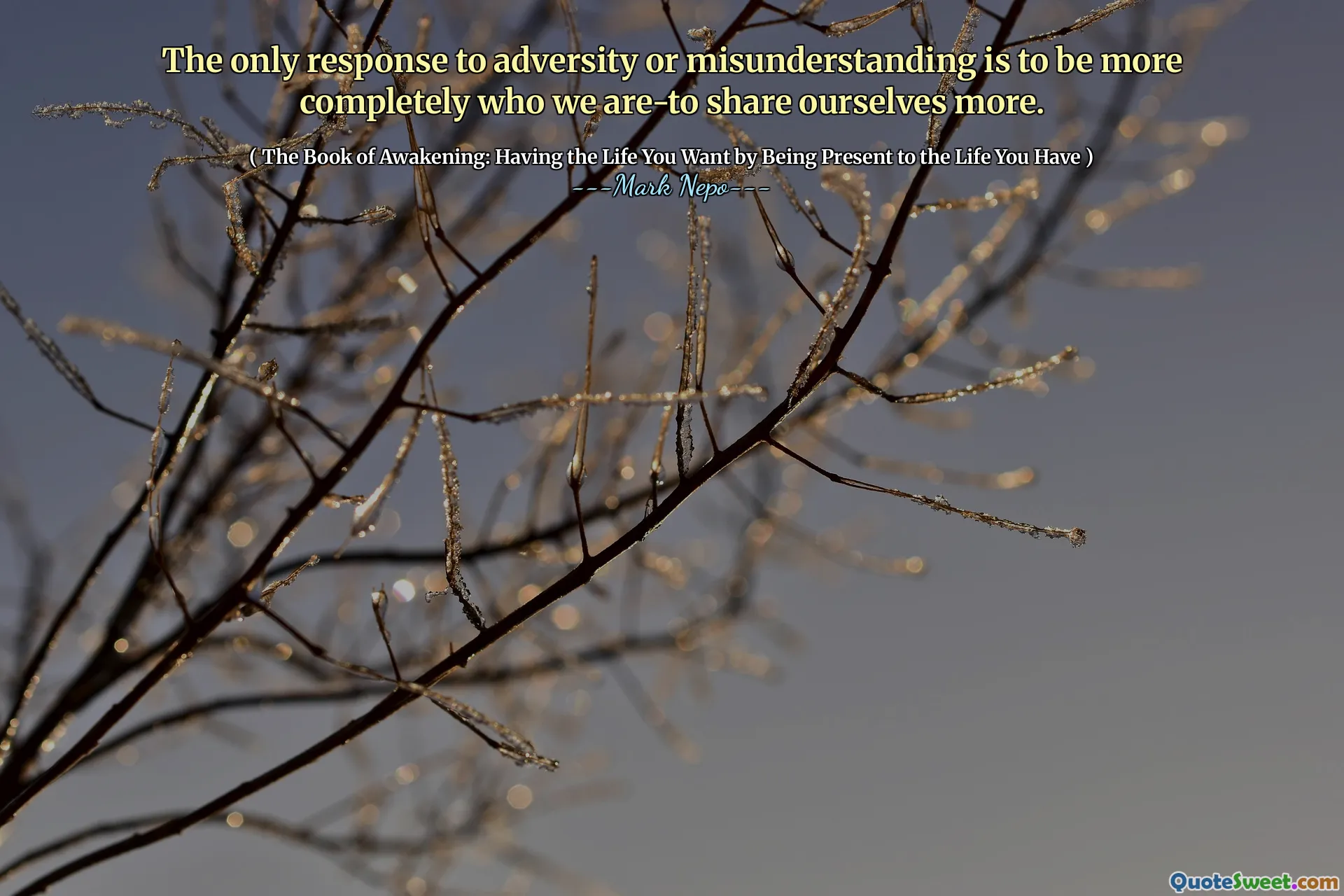 الاستجابة الوحيدة لشربية أو سوء الفهم هي أن نكون بشكل كامل أكثر من نشاركنا أكثر.