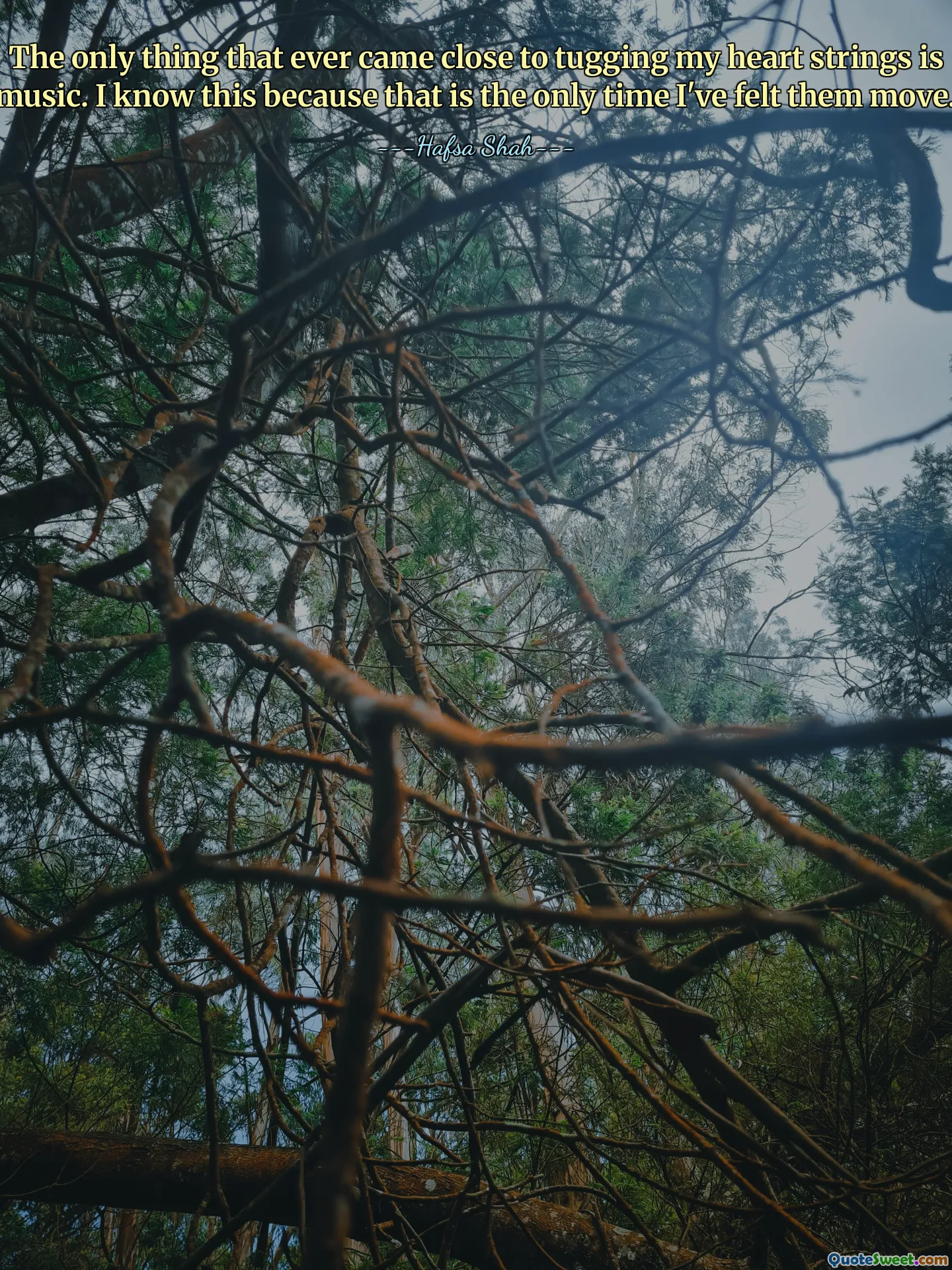 The only thing that ever came close to tugging my heart strings is music. I know this because that is the only time I've felt them move.