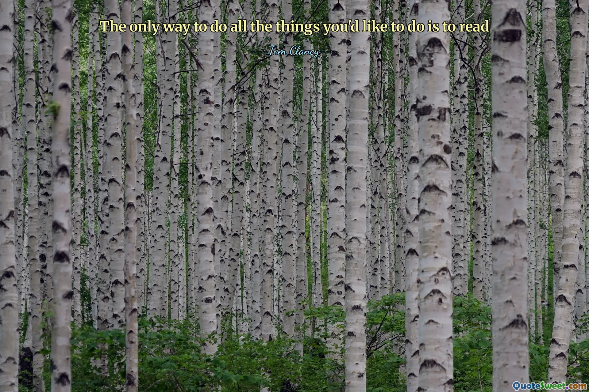 The only way to do all the things you'd like to do is to read