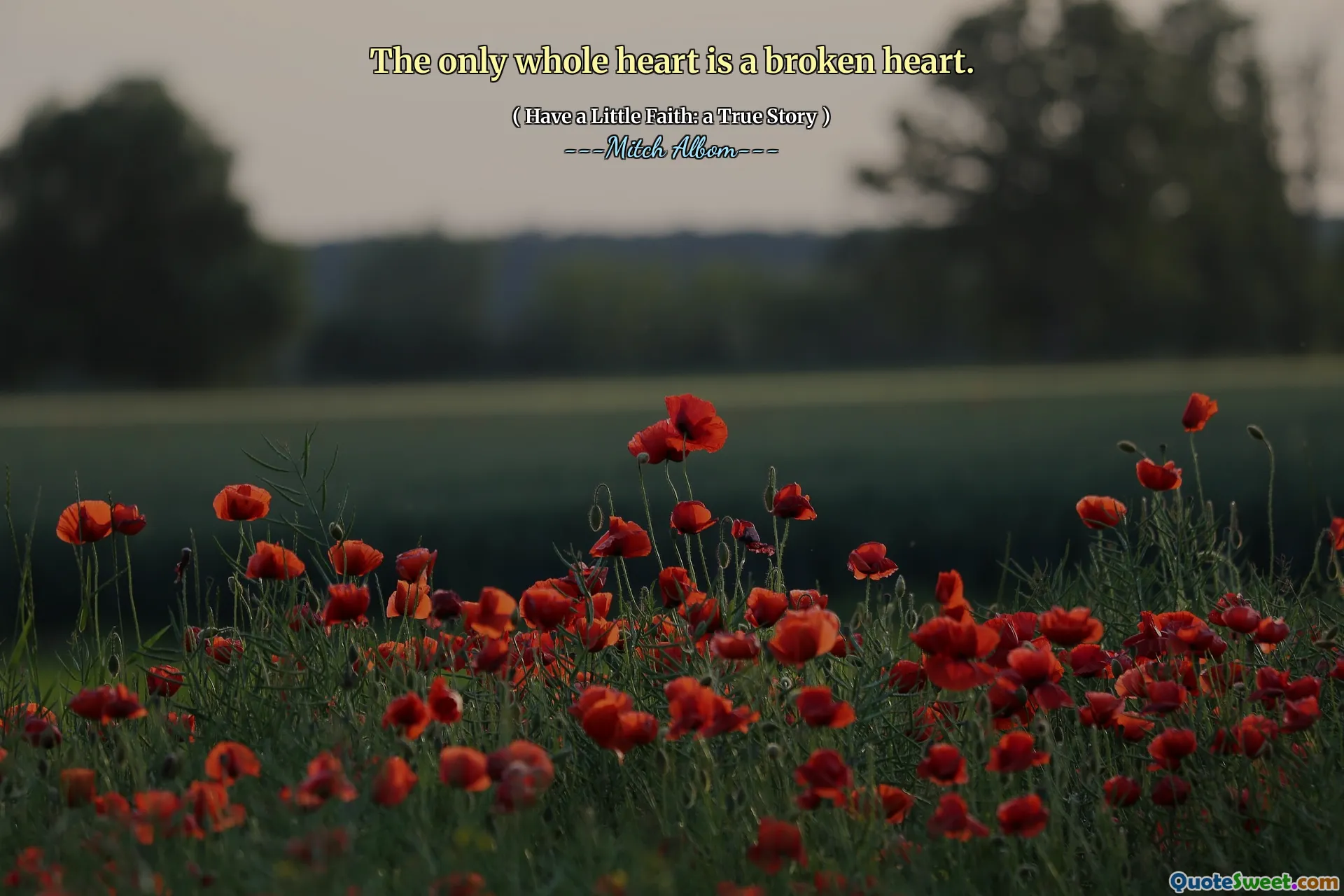 唯一の心臓は傷ついた心です。