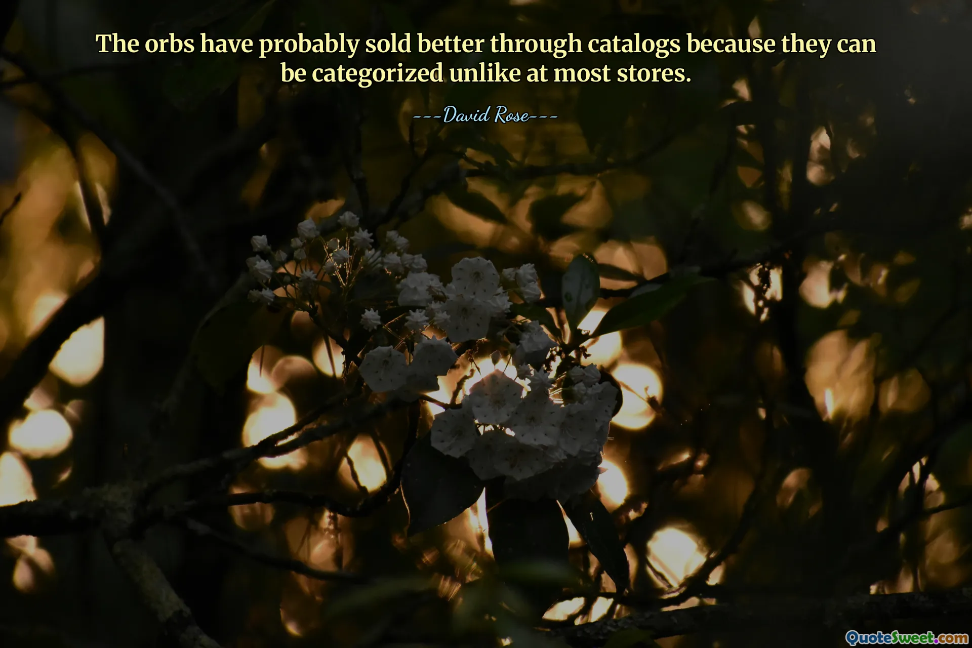 The orbs have probably sold better through catalogs because they can be categorized unlike at most stores.