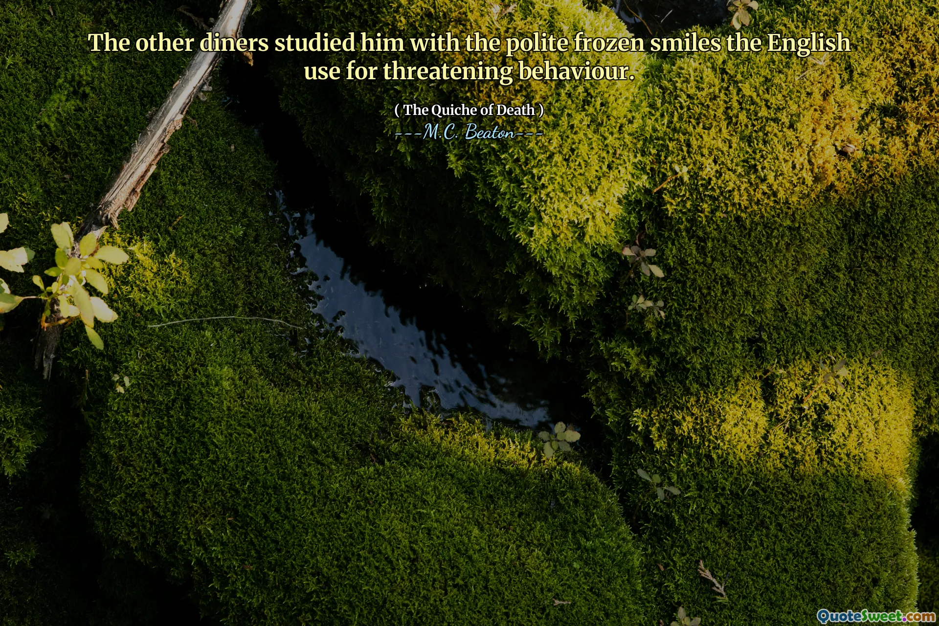 The other diners studied him with the polite frozen smiles the English use for threatening behaviour.