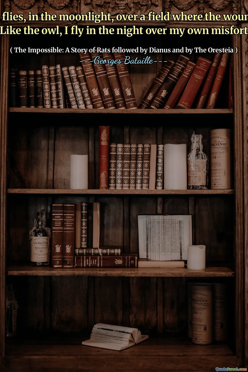 The owl flies, in the moonlight, over a field where the wounded cry out. Like the owl, I fly in the night over my own misfortune.