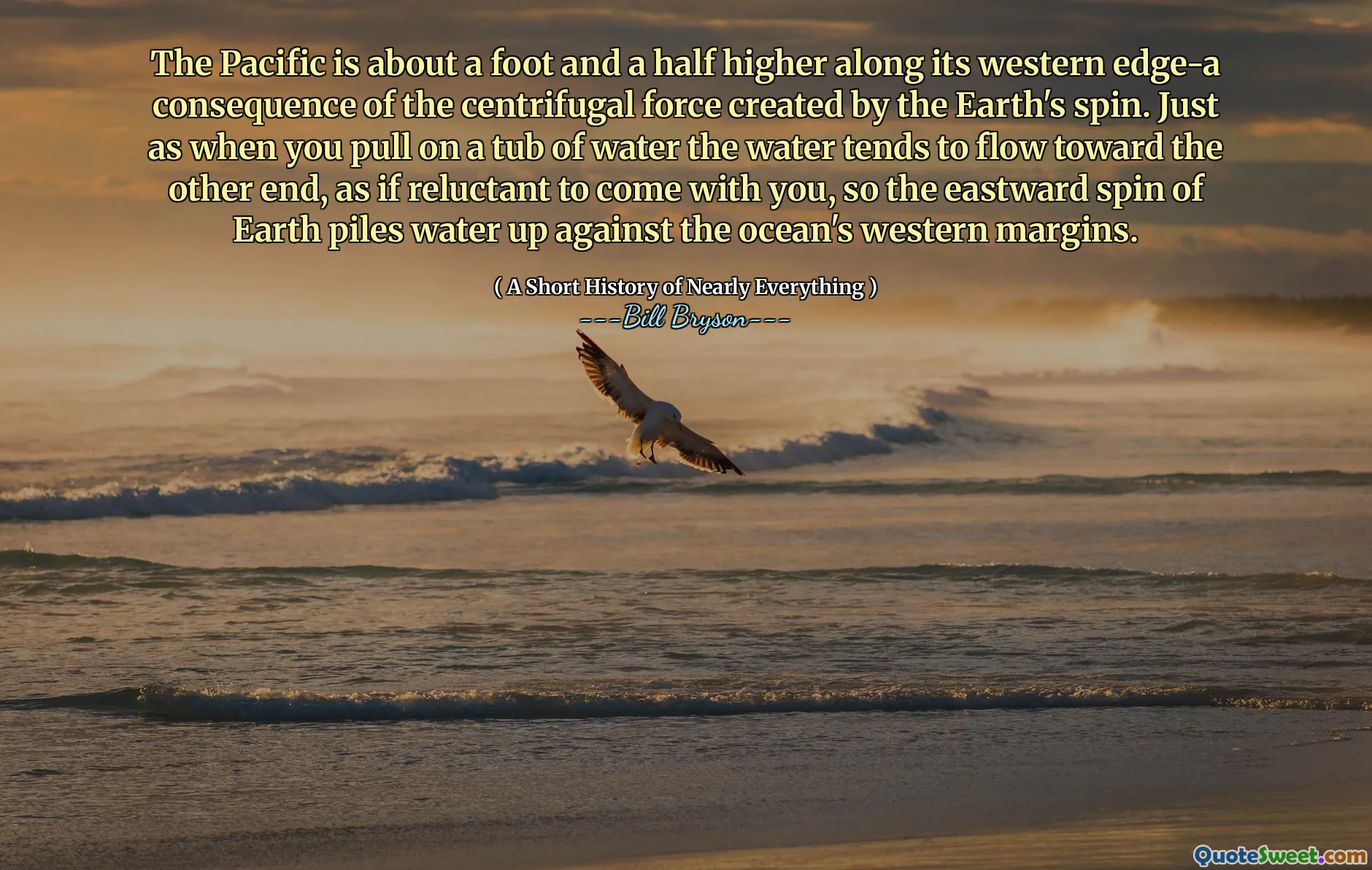 The Pacific is about a foot and a half higher along its western edge-a consequence of the centrifugal force created by the Earth's spin. Just as when you pull on a tub of water the water tends to flow toward the other end, as if reluctant to come with you, so the eastward spin of Earth piles water up against the ocean's western margins.