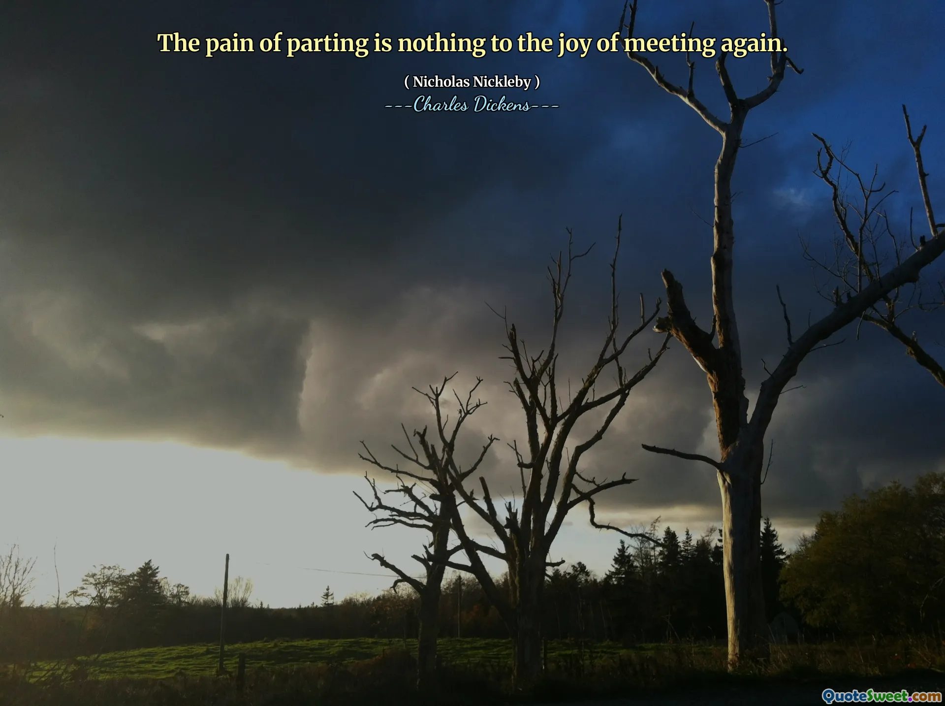 The pain of parting is nothing to the joy of meeting again.