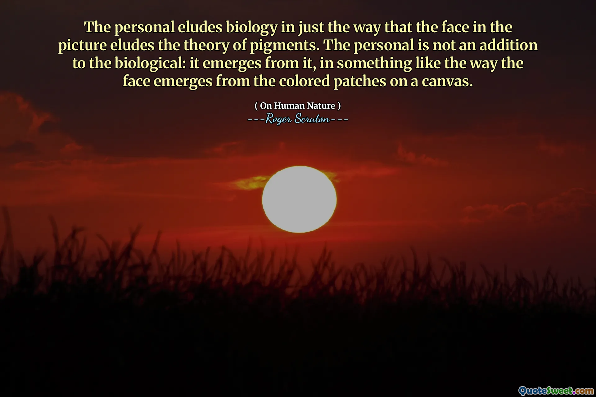 The personal eludes biology in just the way that the face in the picture eludes the theory of pigments. The personal is not an addition to the biological: it emerges from it, in something like the way the face emerges from the colored patches on a canvas.