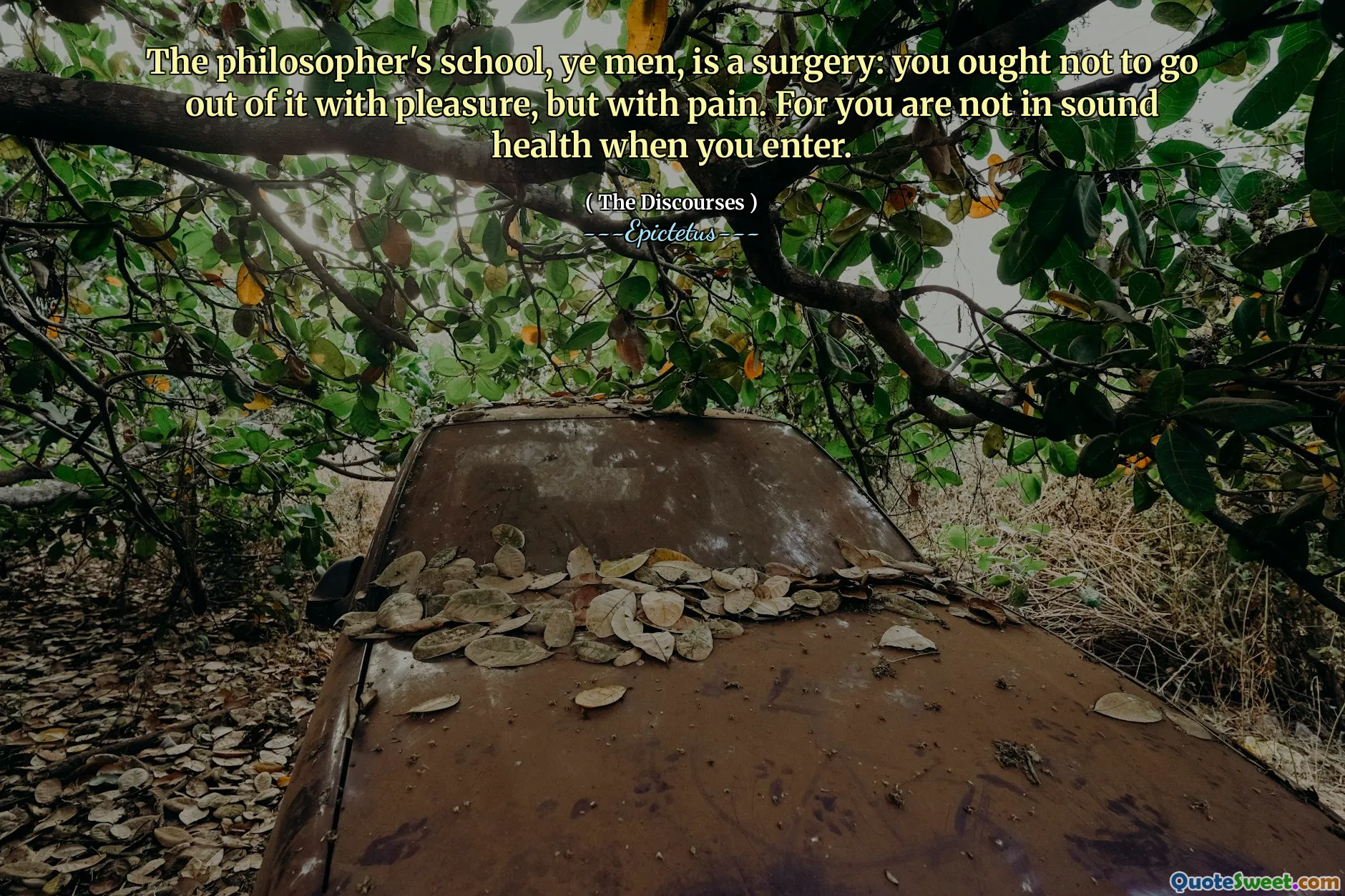 The philosopher's school, ye men, is a surgery: you ought not to go out of it with pleasure, but with pain. For you are not in sound health when you enter.