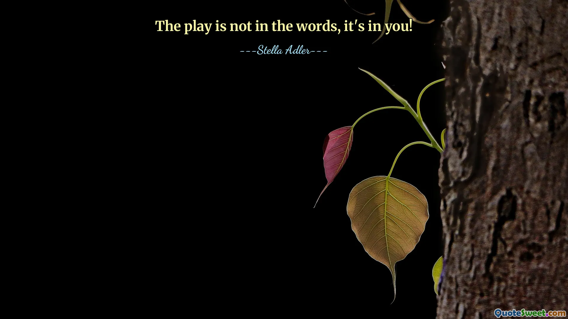 The play is not in the words, it's in you!