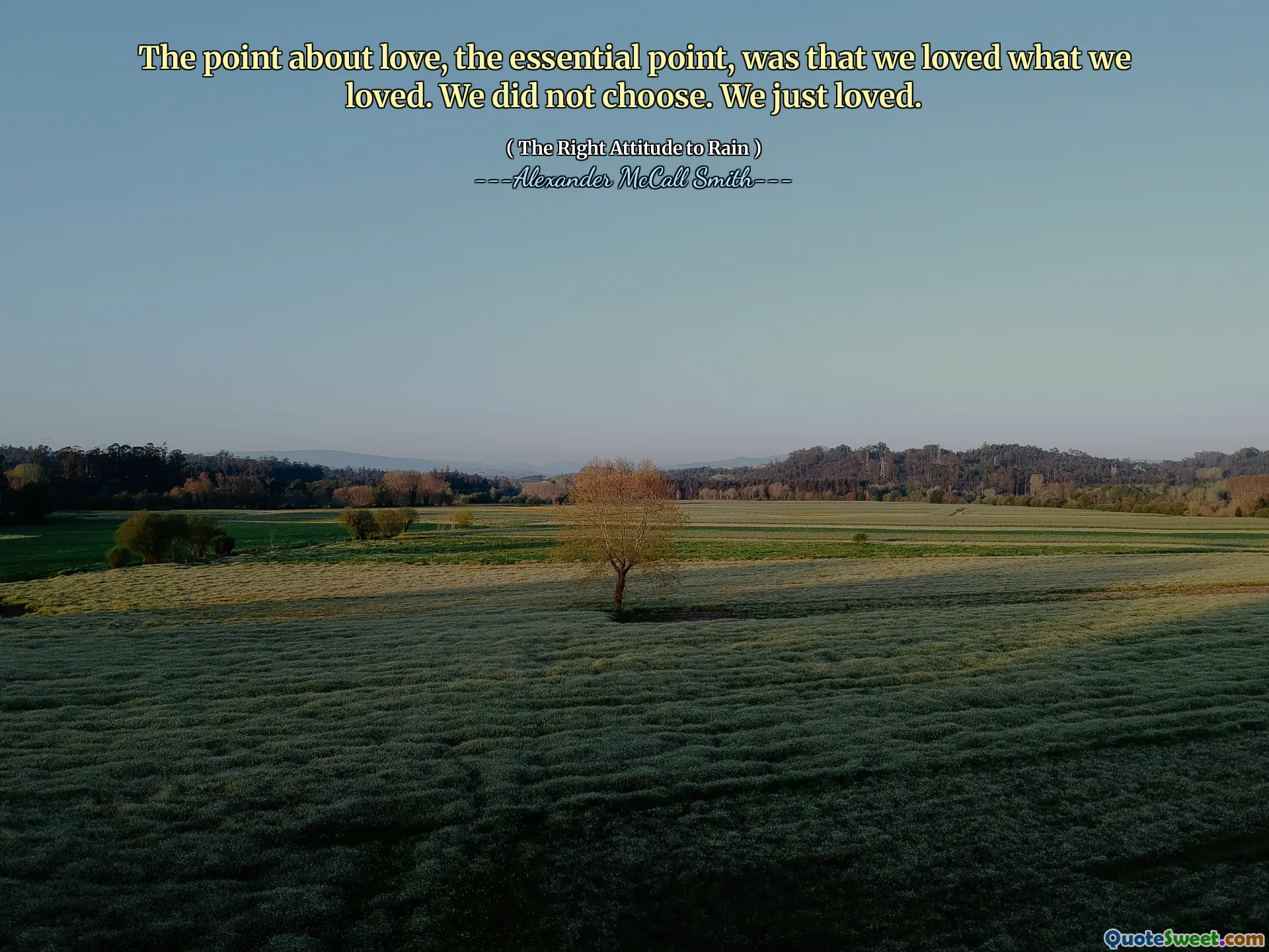 The point about love, the essential point, was that we loved what we loved. We did not choose. We just loved.