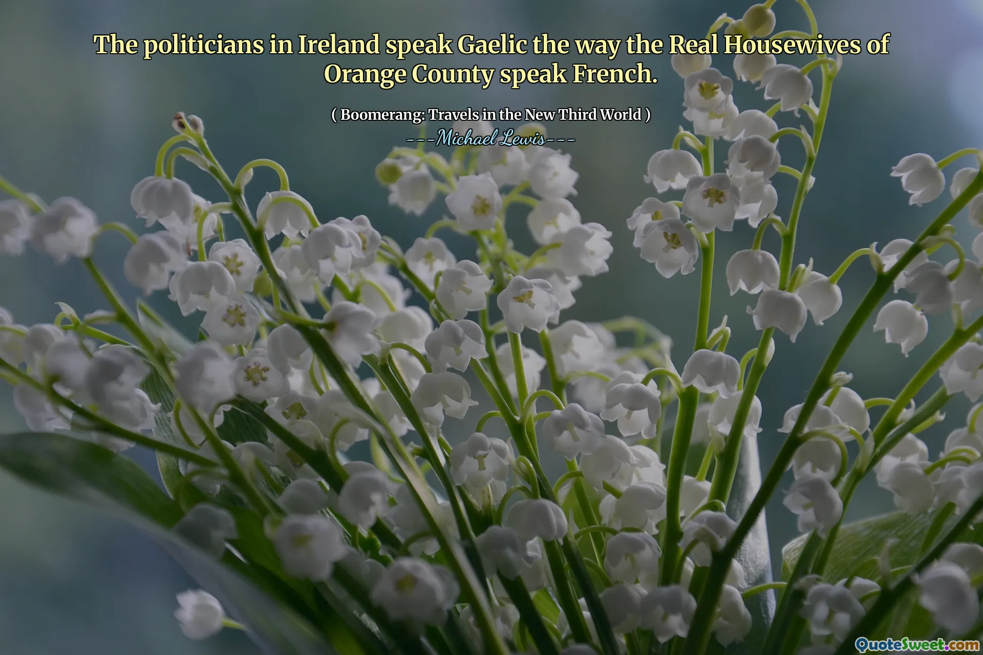 The politicians in Ireland speak Gaelic the way the Real Housewives of Orange County speak French.