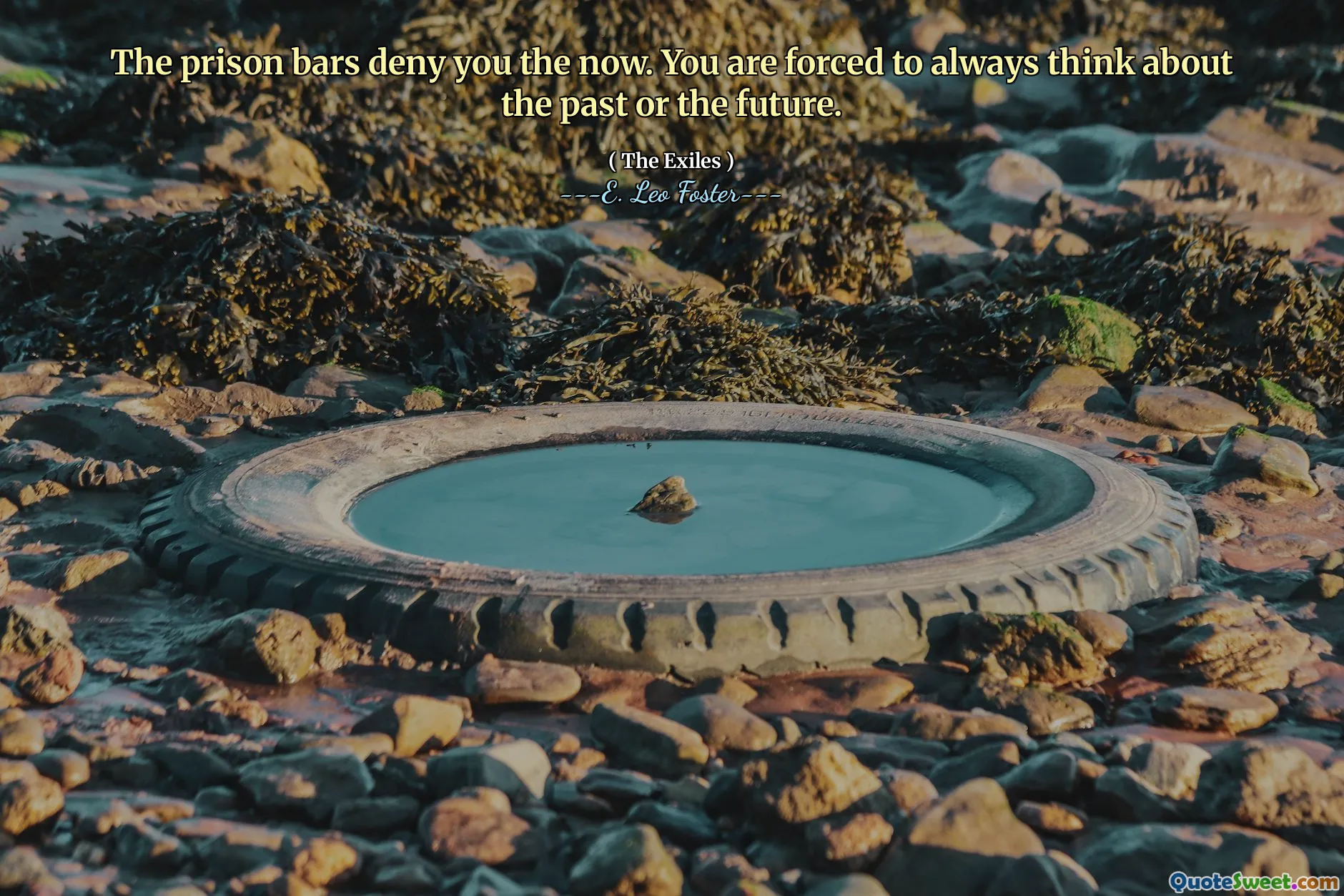 The prison bars deny you the now. You are forced to always think about the past or the future.