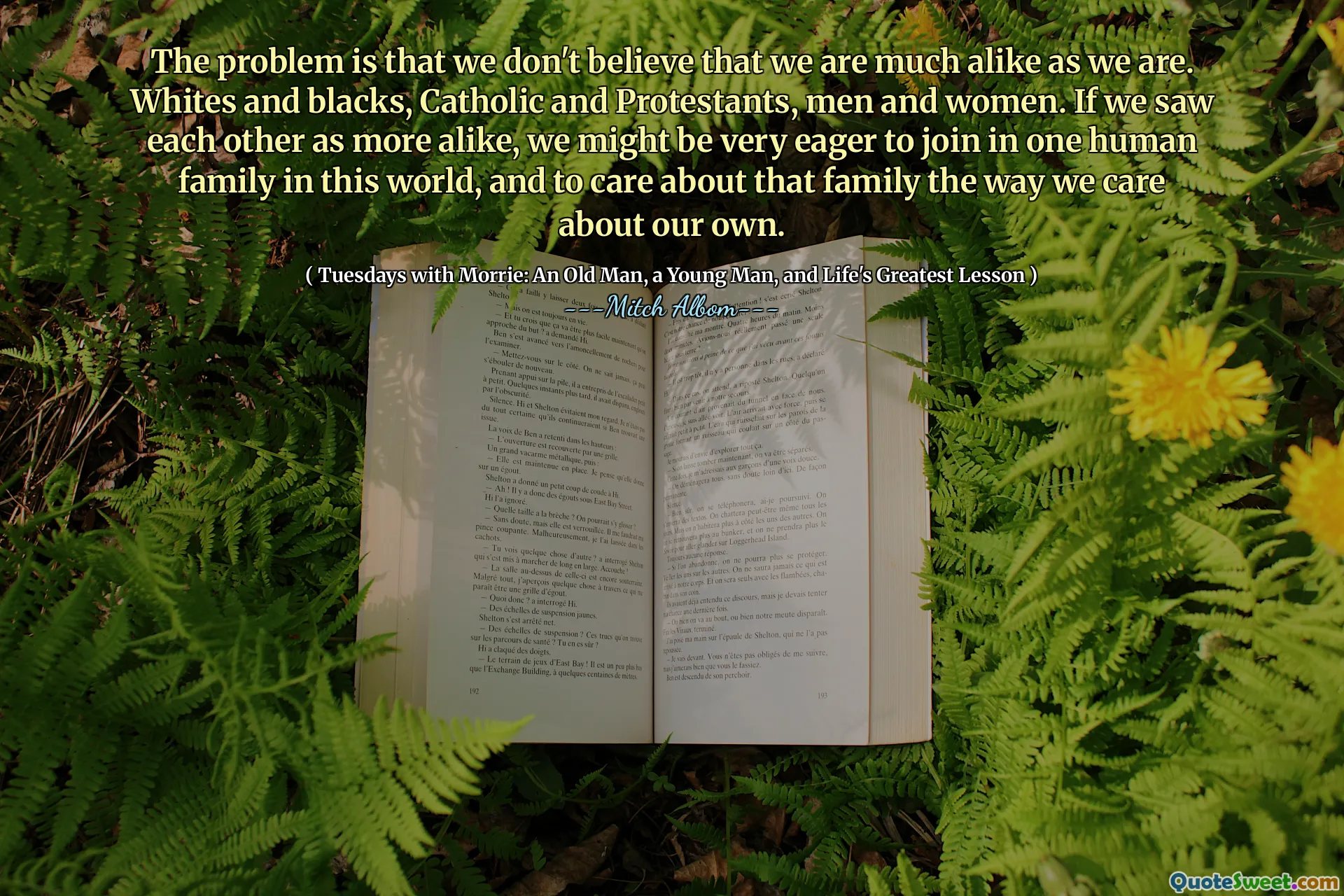 问题在于我们不认为我们像以前那样非常相似。白人和黑人，天主教和新教徒，男人和女人。如果我们将彼此视为更相似，那么我们可能非常渴望加入这个世界上的一个人家庭，并像我们关心自己的方式一样关心这个家庭。