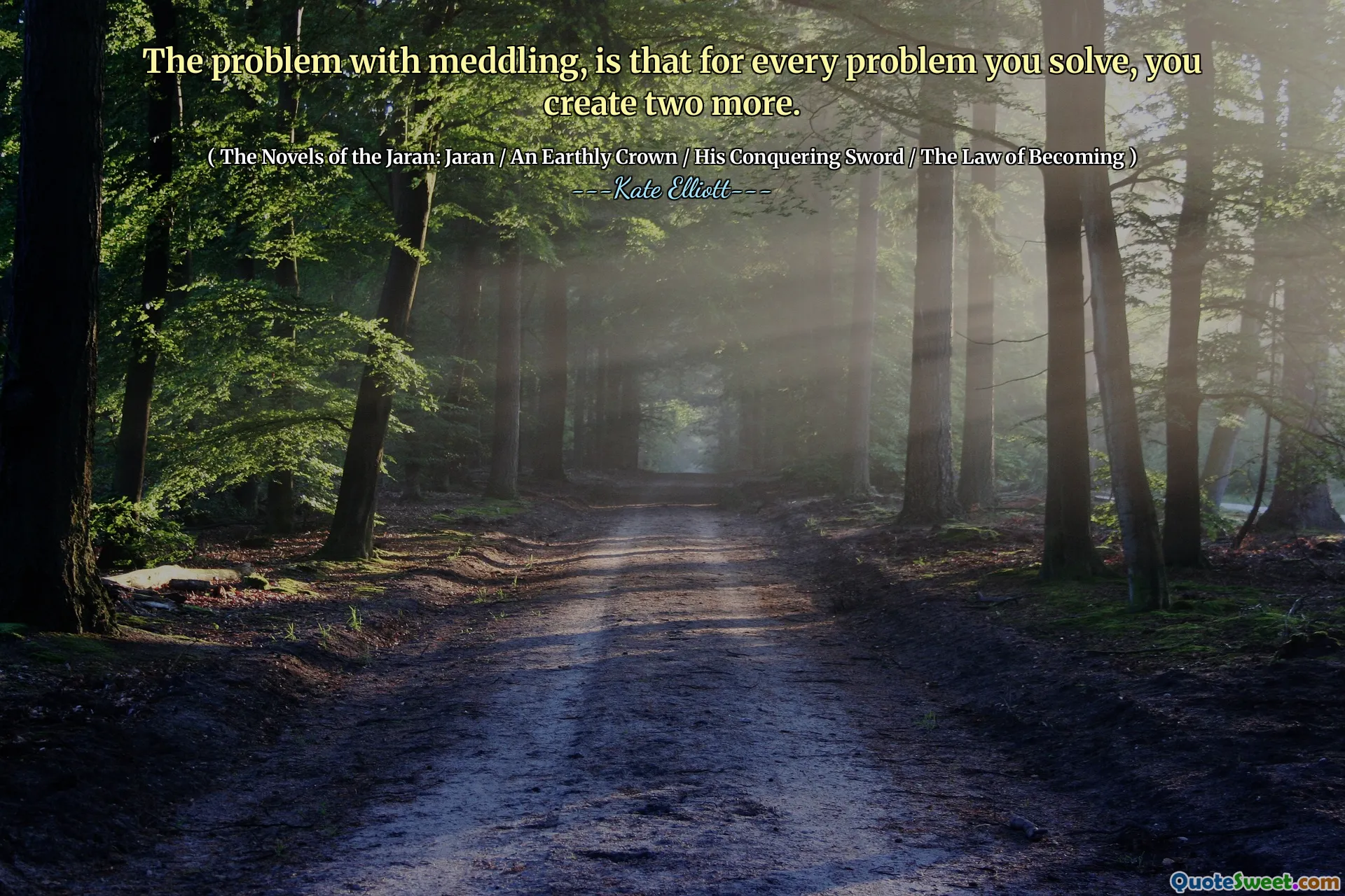 The problem with meddling, is that for every problem you solve, you create two more.