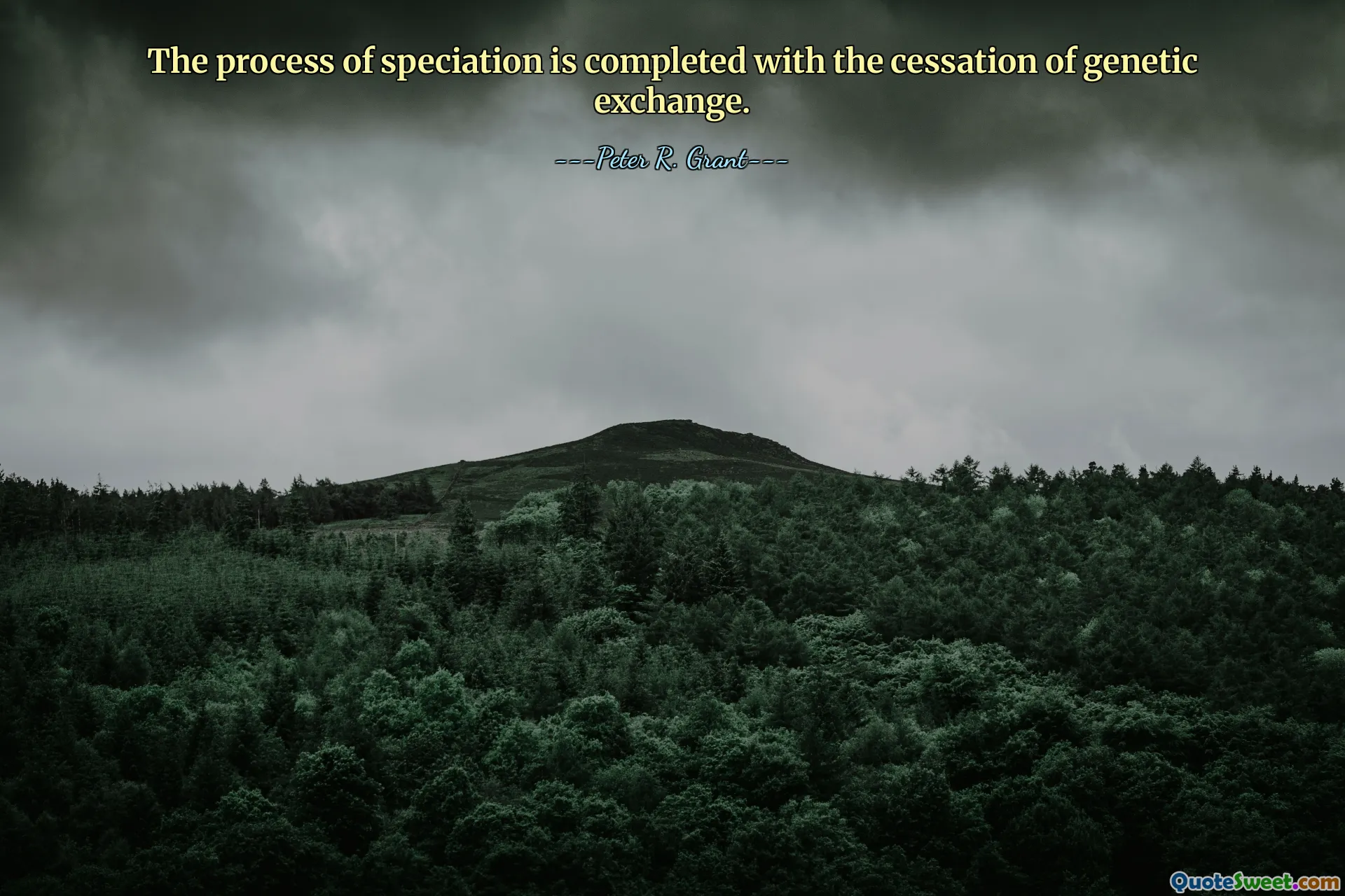 Het proces van soortvorming wordt voltooid wanneer de genetische uitwisseling stopt.