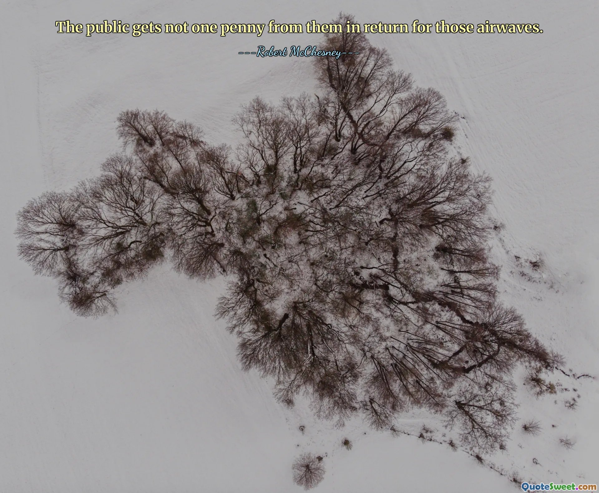 The public gets not one penny from them in return for those airwaves.