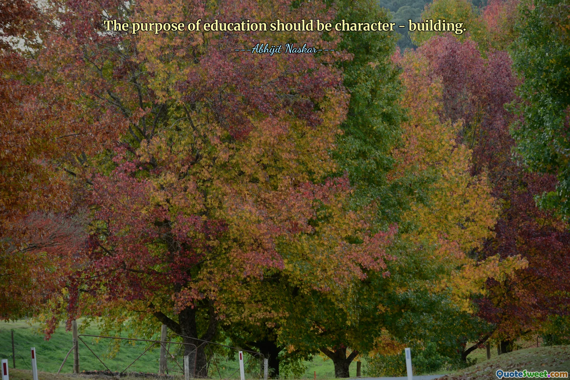 The purpose of education should be character - building.