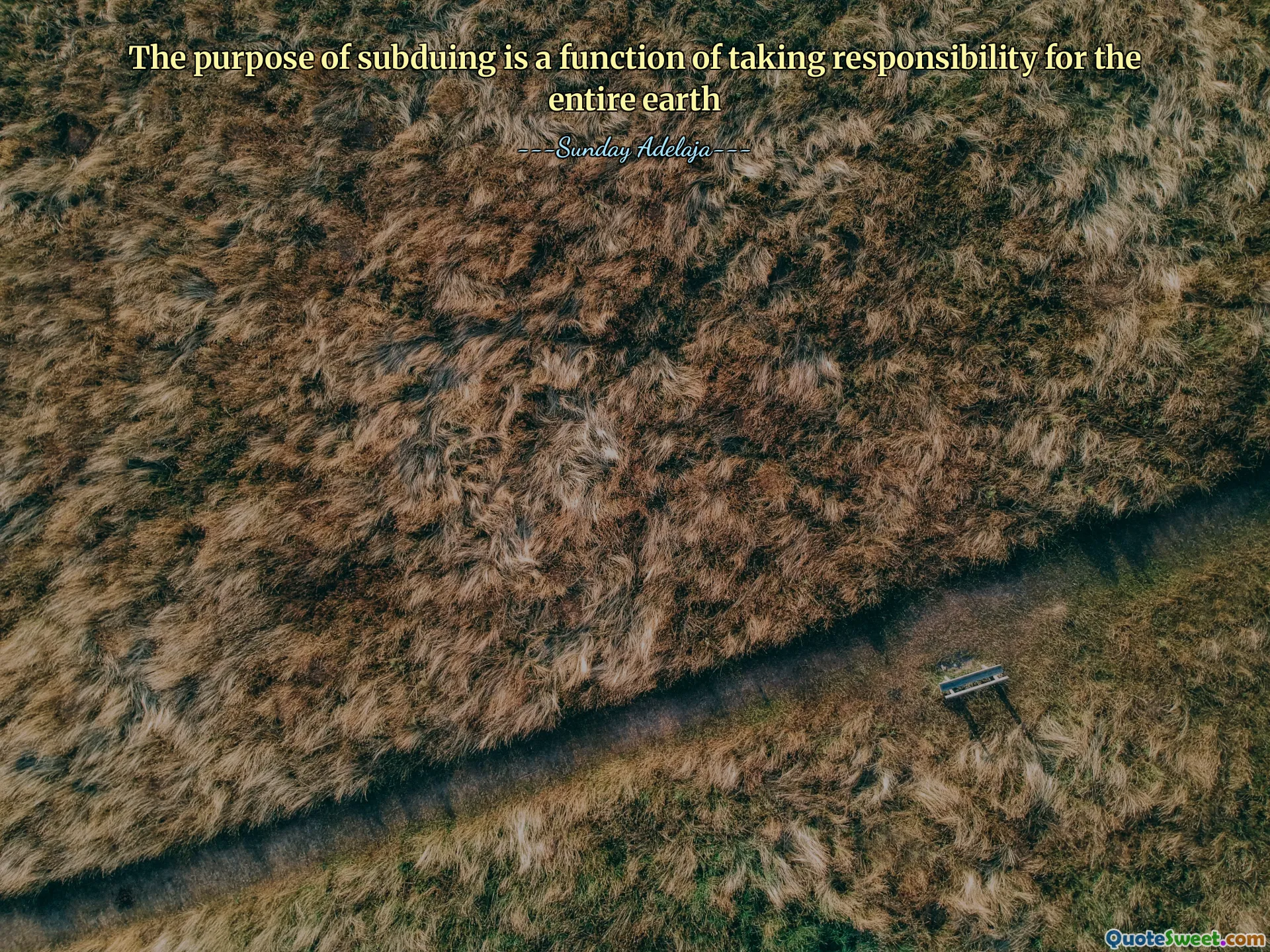 The purpose of subduing is a function of taking responsibility for the entire earth