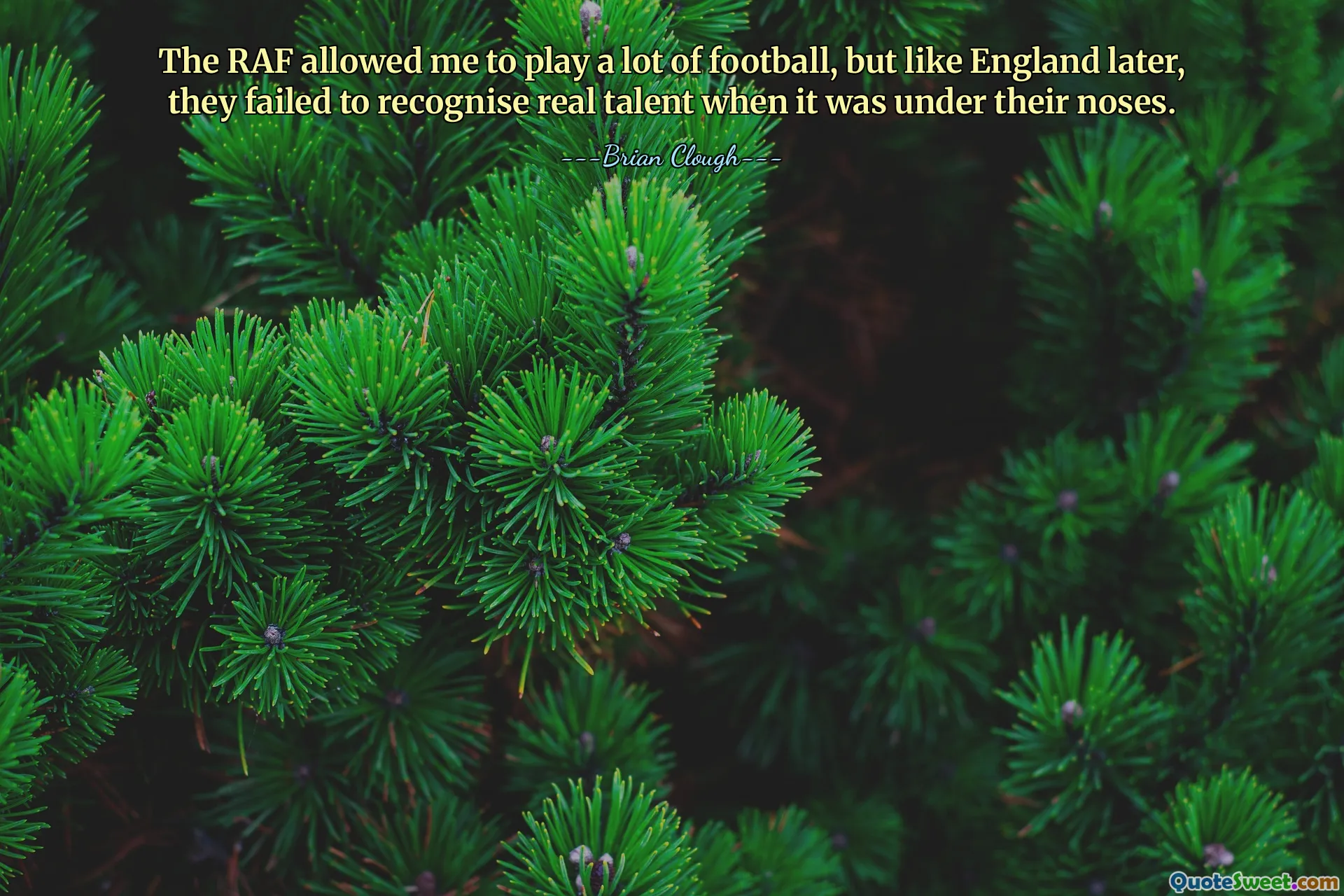 The RAF allowed me to play a lot of football, but like England later, they failed to recognise real talent when it was under their noses.