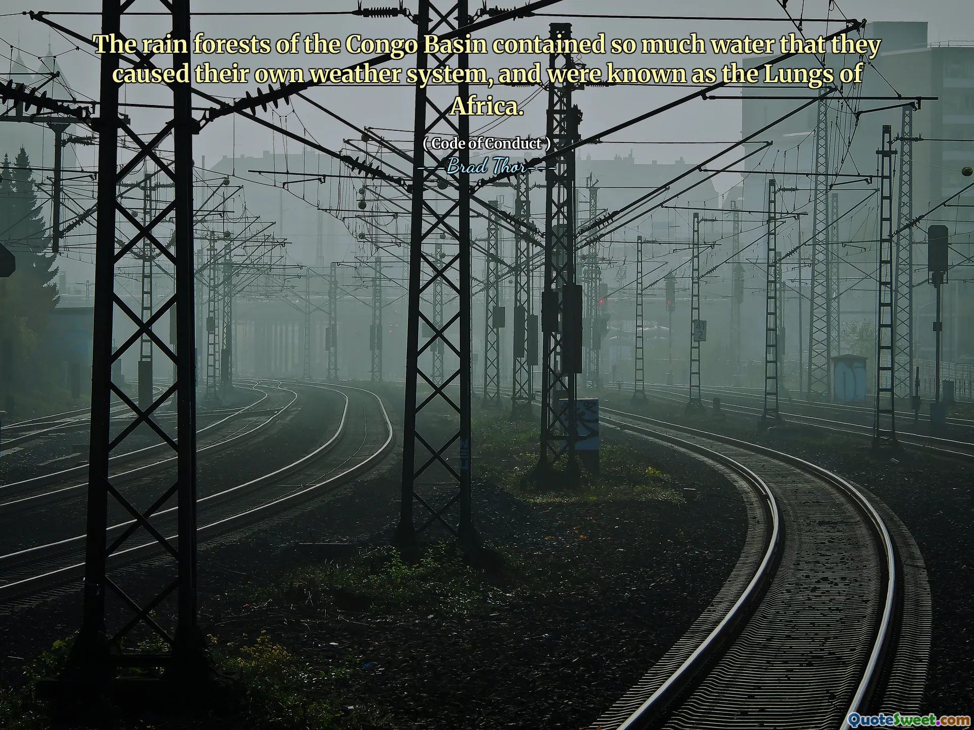 As florestas tropicais da bacia do Congo continham tanta água que causaram seu próprio sistema climático e eram conhecidas como os pulmões da África.