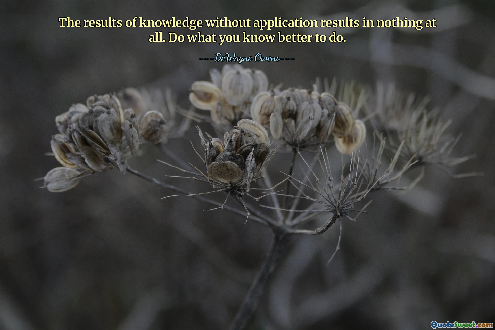 The results of knowledge without application results in nothing at all. Do what you know better to do.