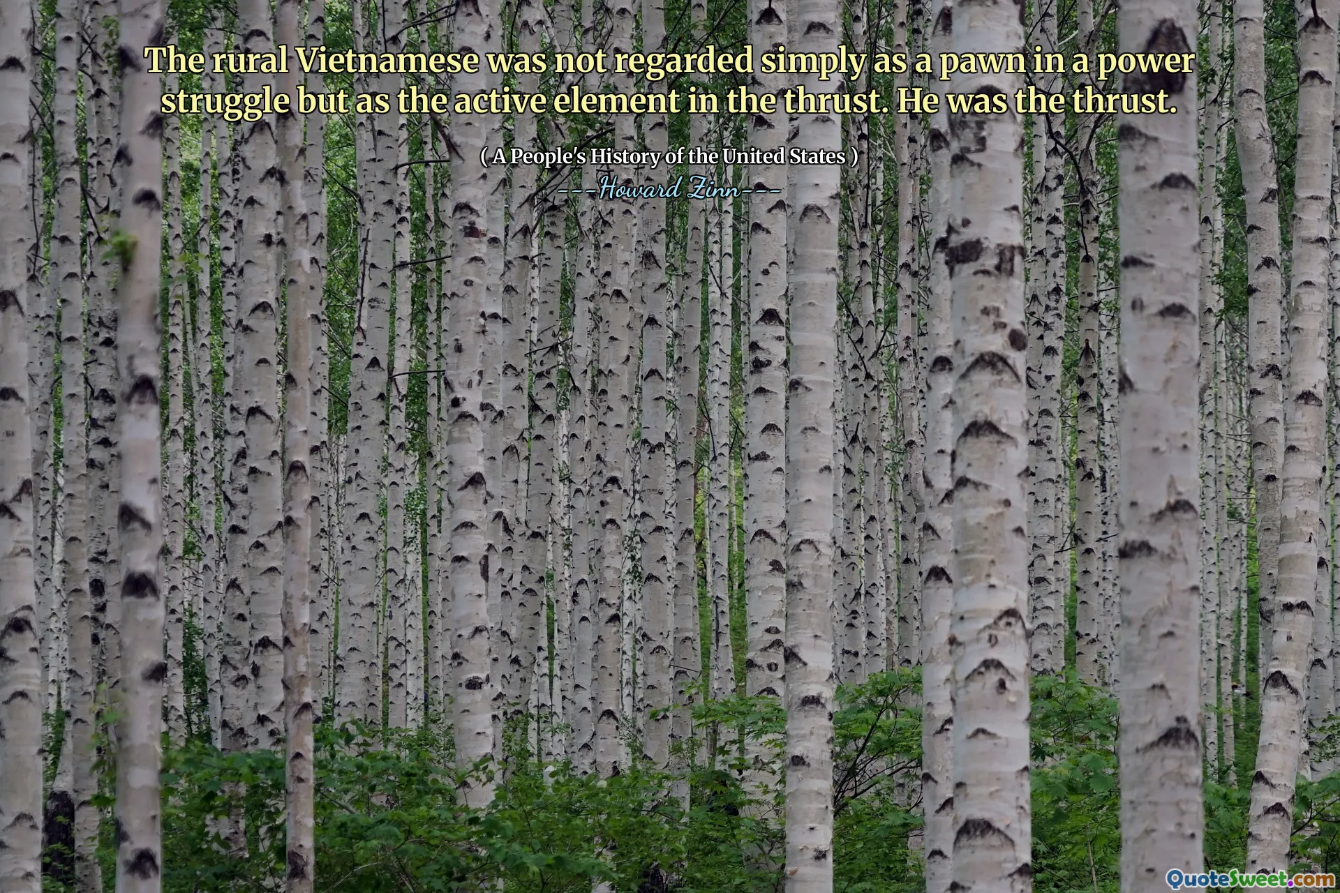 The rural Vietnamese was not regarded simply as a pawn in a power struggle but as the active element in the thrust. He was the thrust.