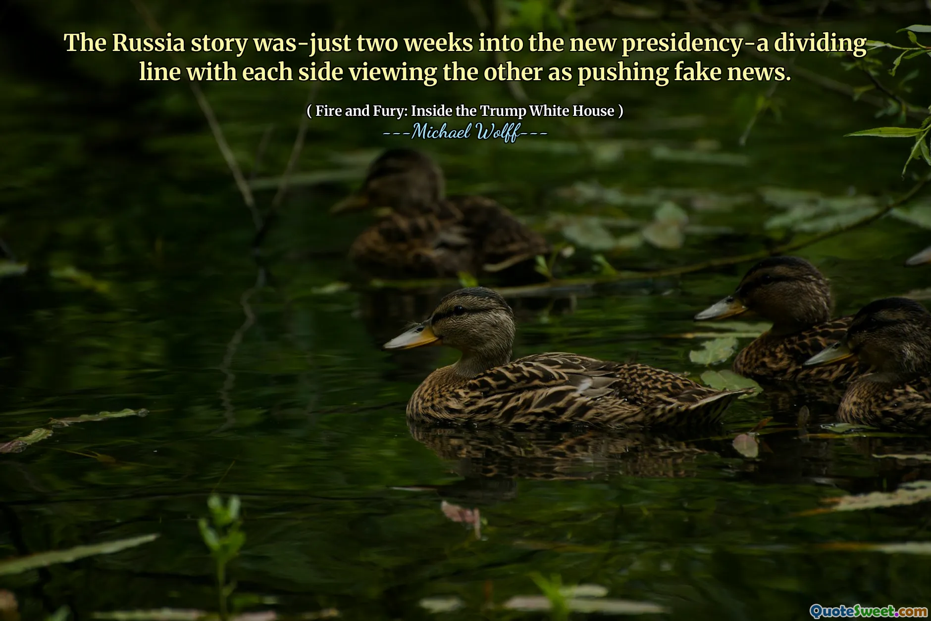 The Russia story was-just two weeks into the new presidency-a dividing line with each side viewing the other as pushing fake news.