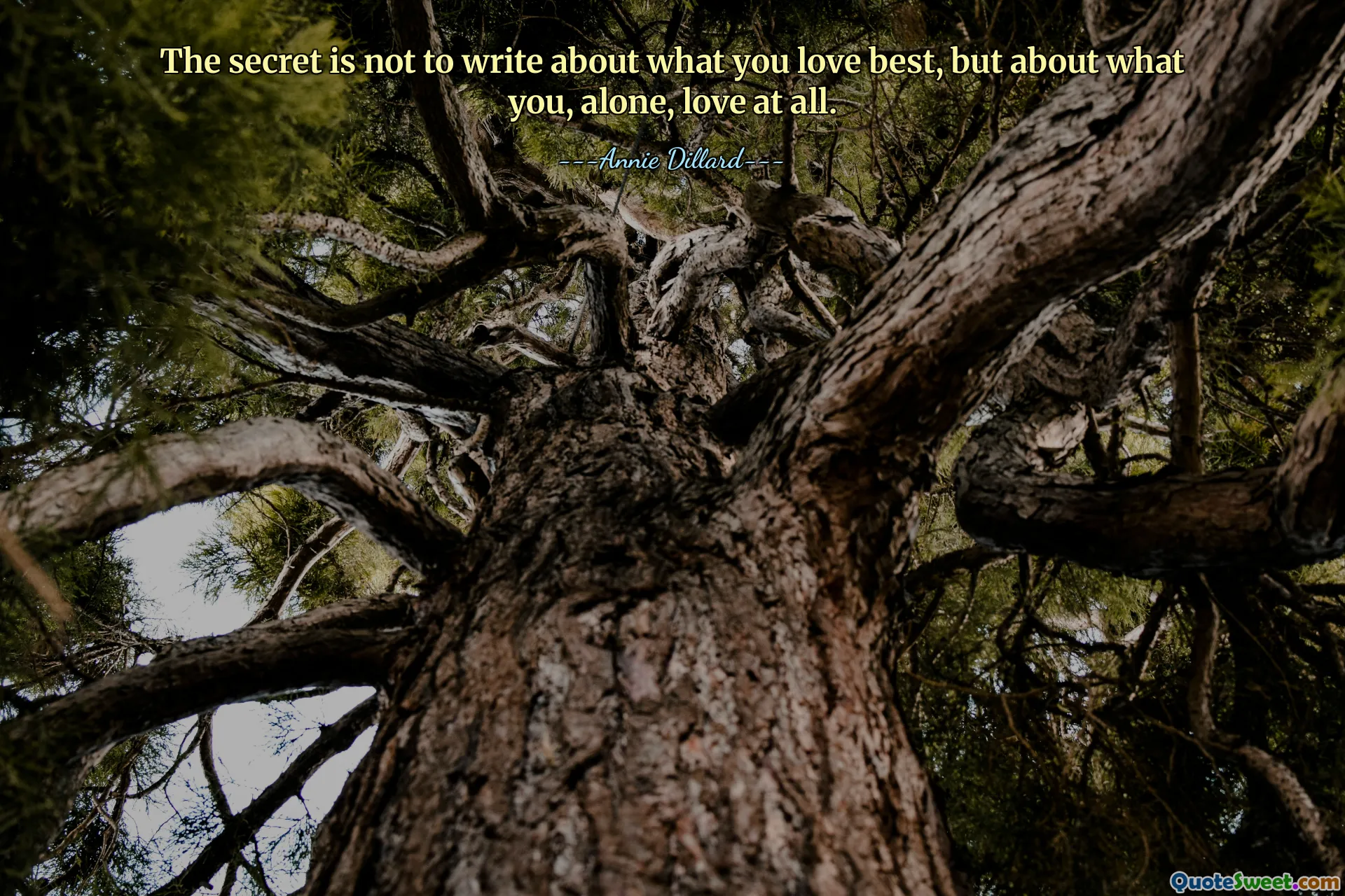 The secret is not to write about what you love best, but about what you, alone, love at all.