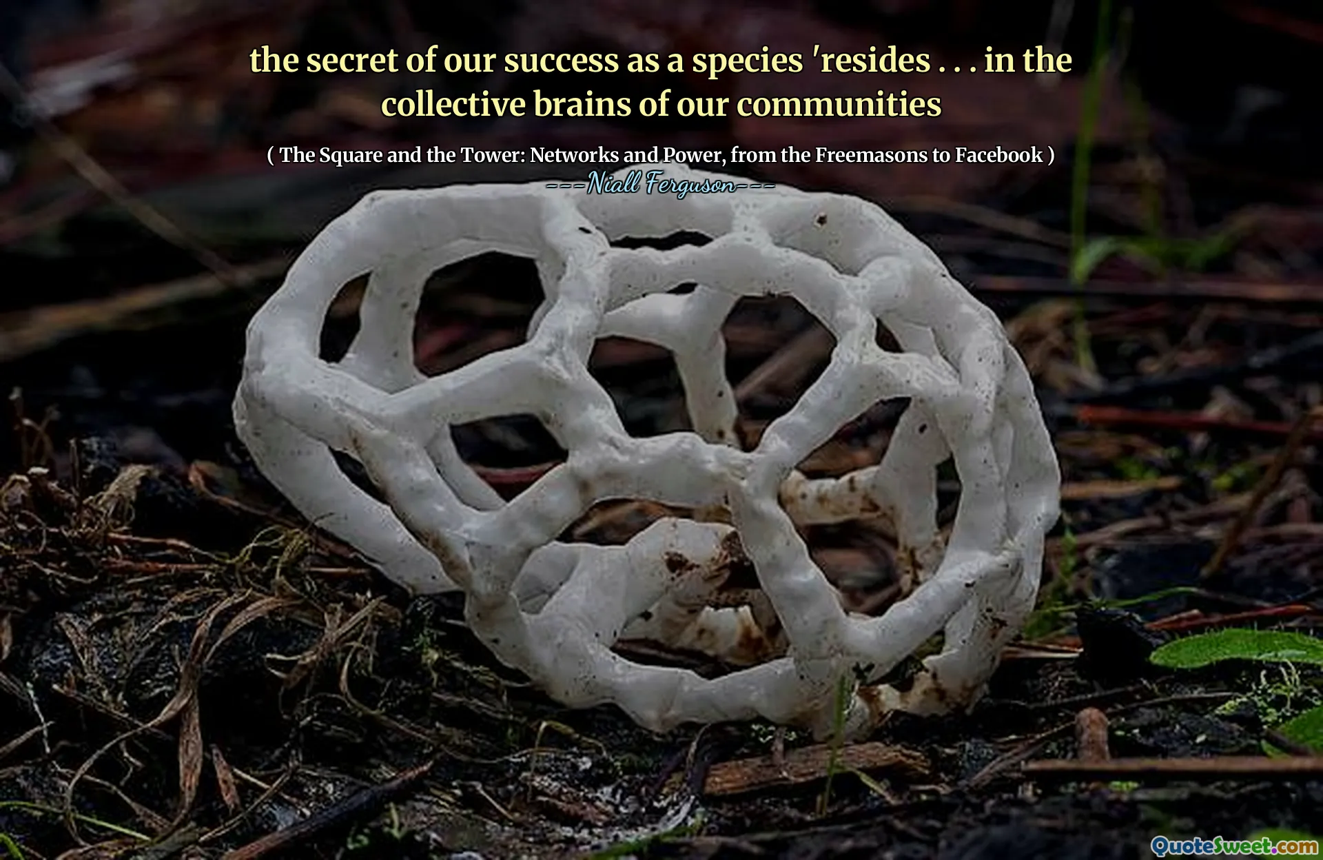 the secret of our success as a species 'resides . . . in the collective brains of our communities