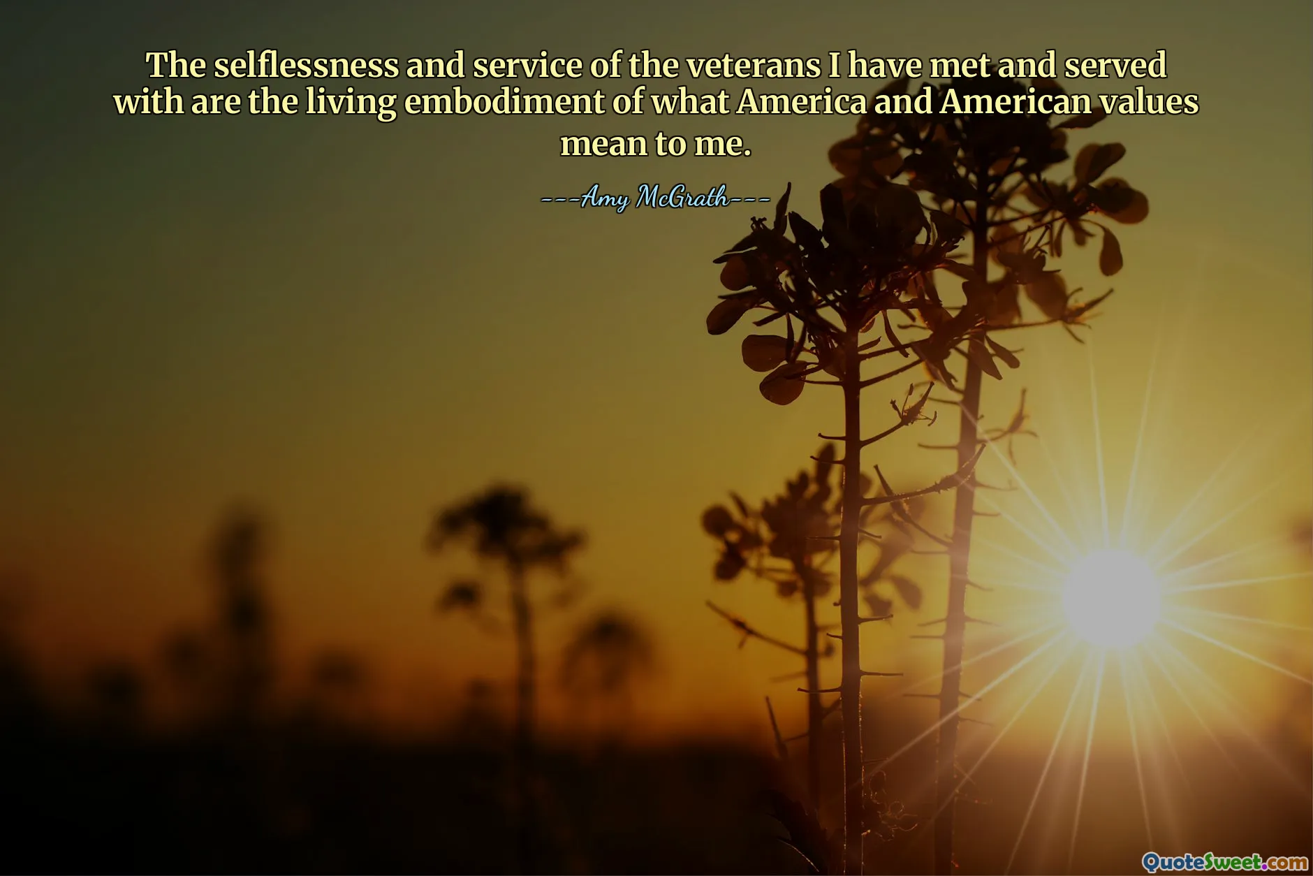 The selflessness and service of the veterans I have met and served with are the living embodiment of what America and American values mean to me.