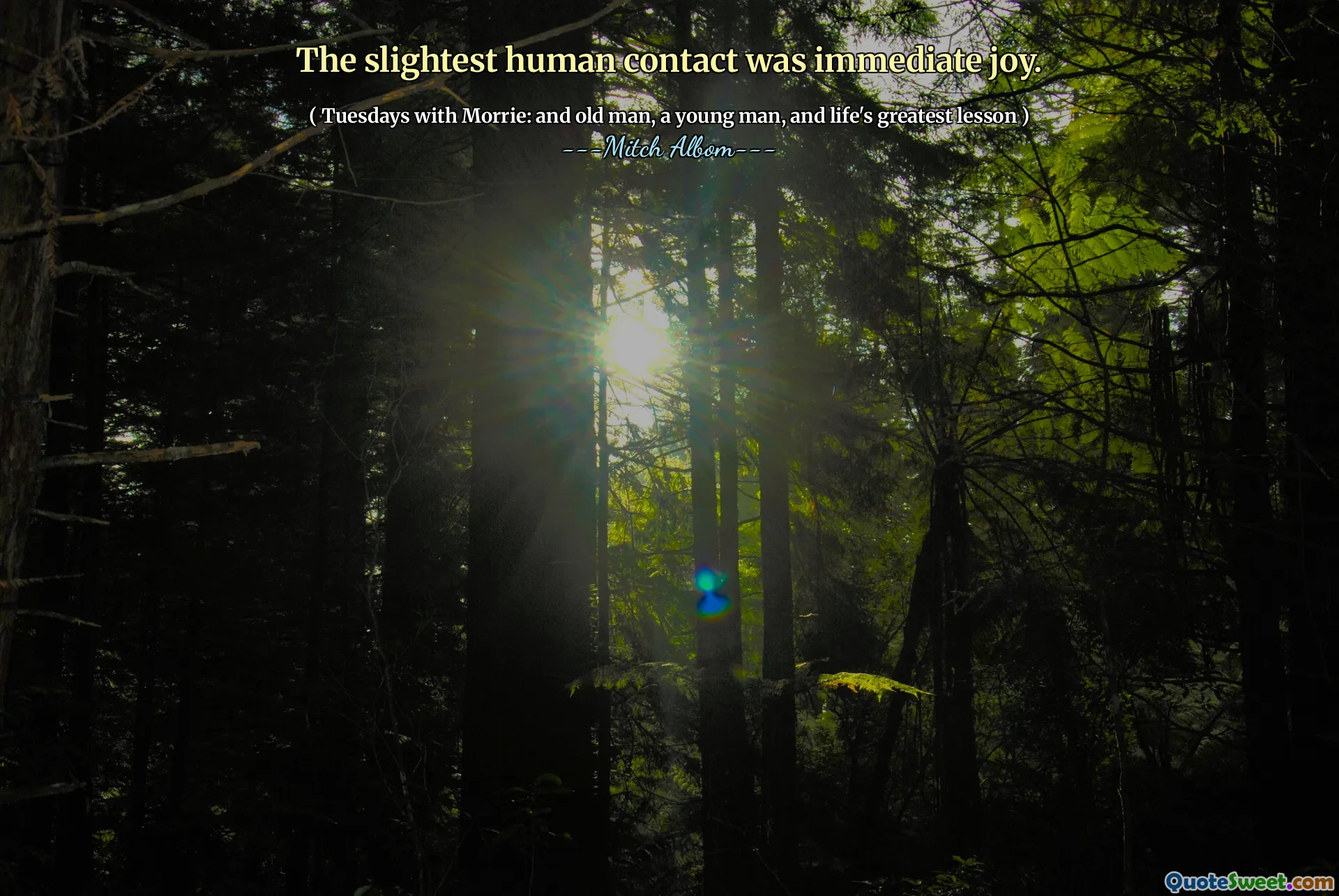 丝毫的接触是直接的喜悦。