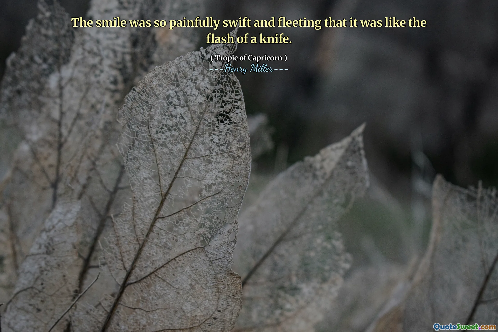 The smile was so painfully swift and fleeting that it was like the flash of a knife.