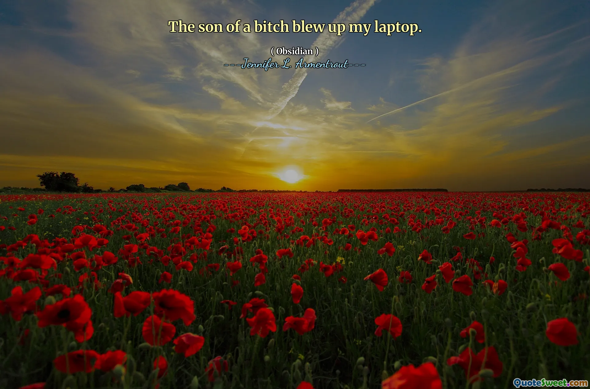 The son of a bitch blew up my laptop.