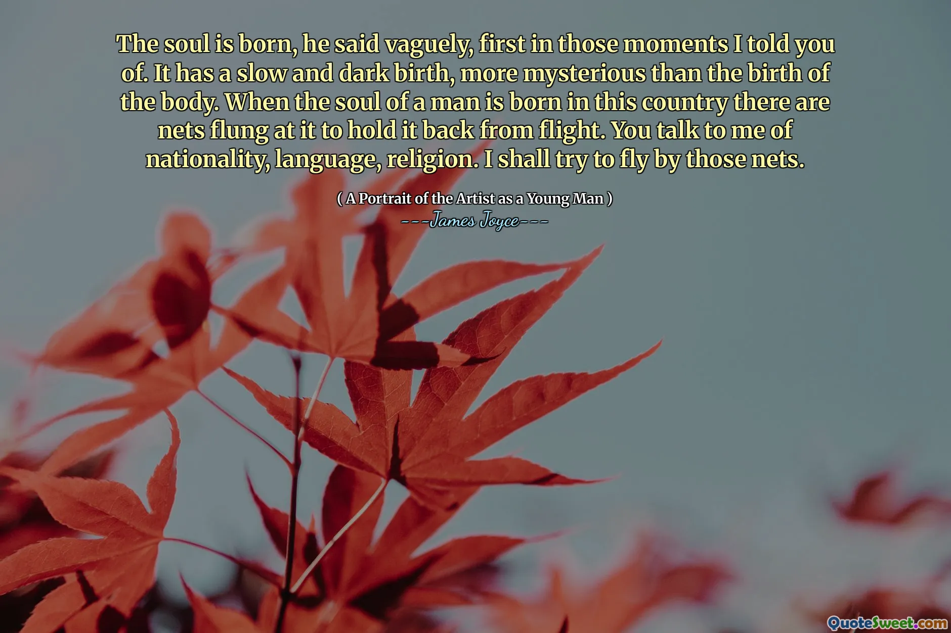 The soul is born, he said vaguely, first in those moments I told you of. It has a slow and dark birth, more mysterious than the birth of the body. When the soul of a man is born in this country there are nets flung at it to hold it back from flight. You talk to me of nationality, language, religion. I shall try to fly by those nets.