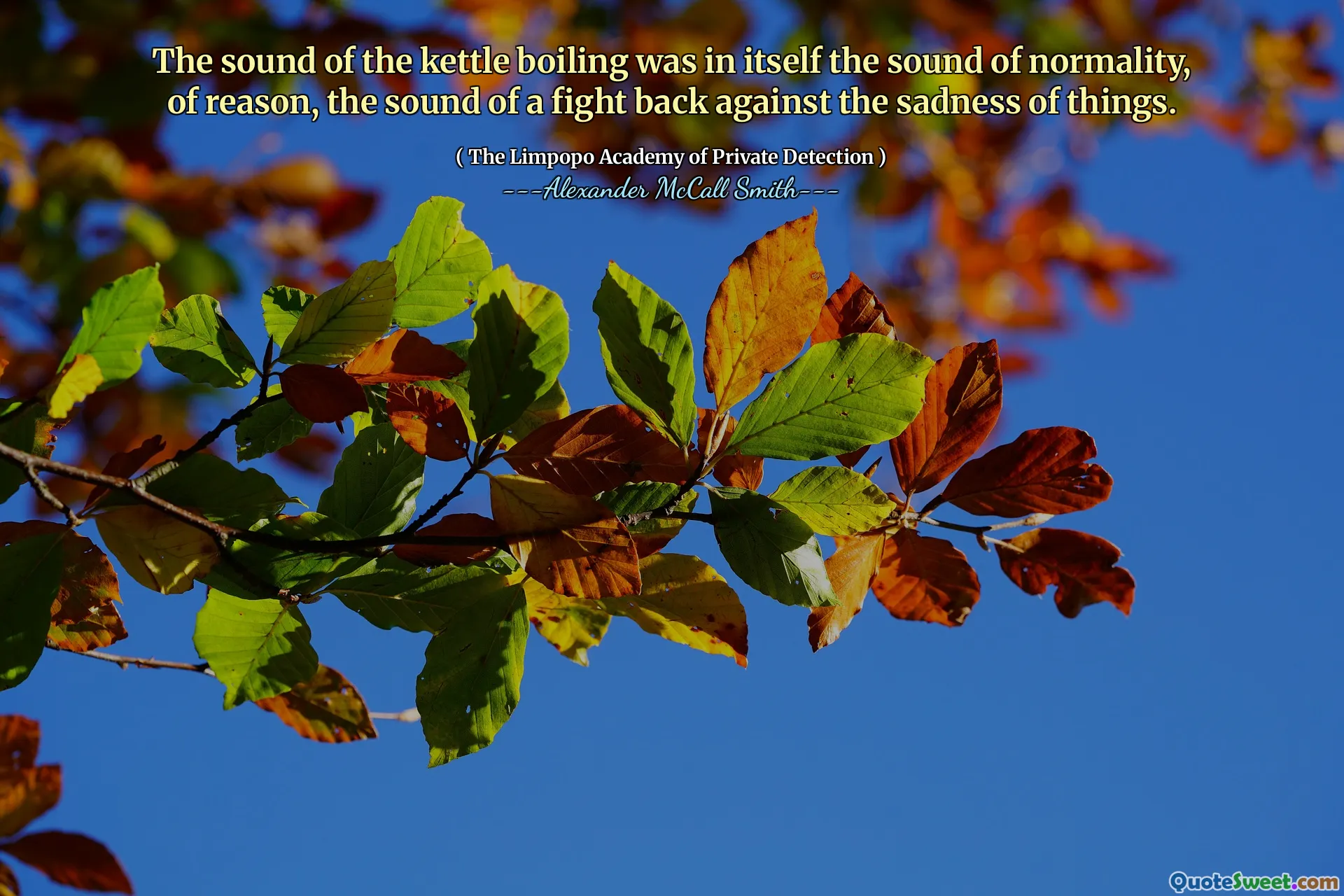 水壶沸腾的声音本身就是正态性的声音，理性的声音是反对事物悲伤的声音。