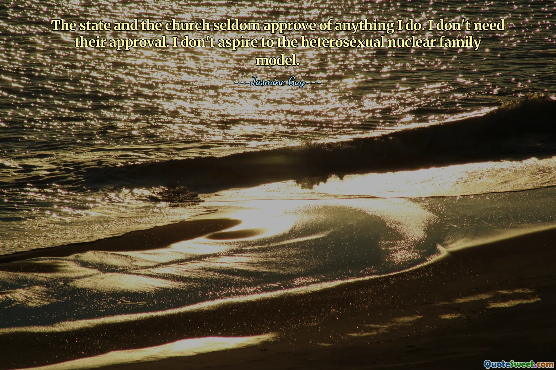 O estado e a igreja raramente aprovam qualquer coisa que eu faça. Eu não preciso da aprovação deles. Não aspiro ao modelo de família nuclear heterossexual.