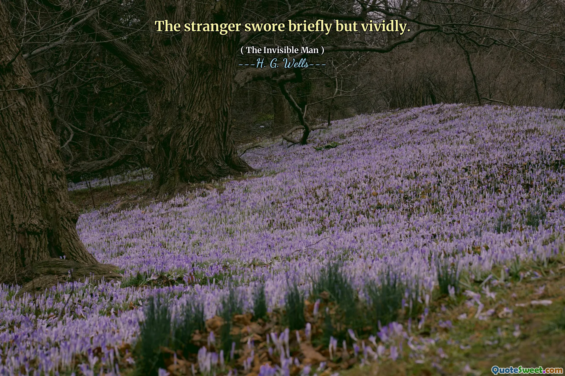 The stranger swore briefly but vividly.