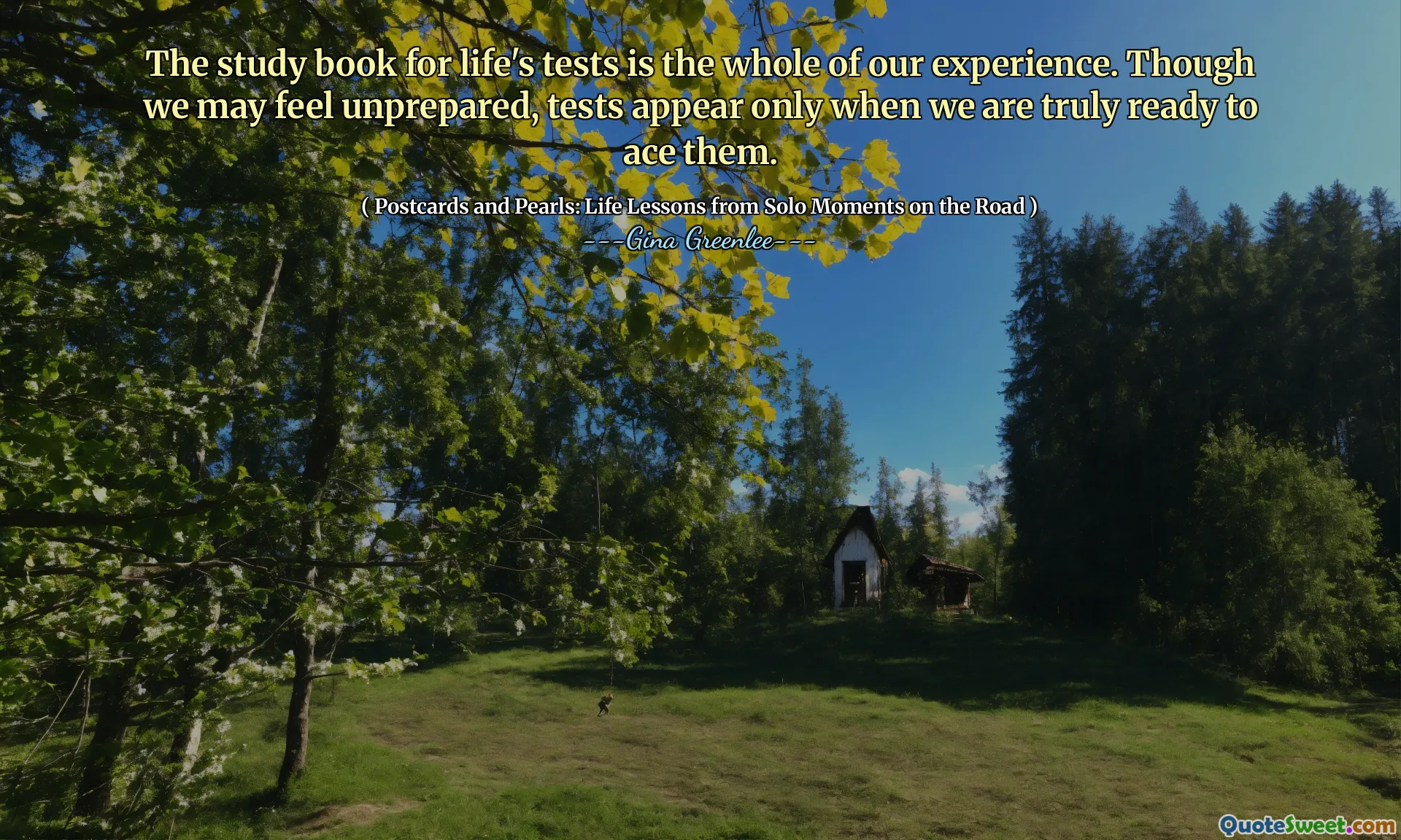 The study book for life's tests is the whole of our experience. Though we may feel unprepared, tests appear only when we are truly ready to ace them.