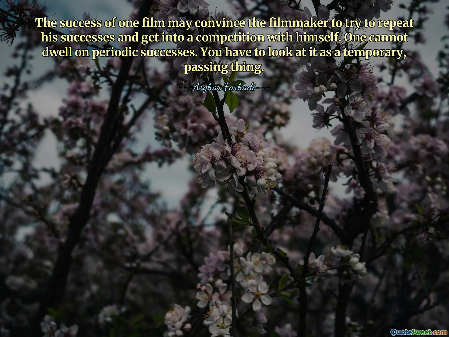 The success of one film may convince the filmmaker to try to repeat his successes and get into a competition with himself. One cannot dwell on periodic successes. You have to look at it as a temporary, passing thing.