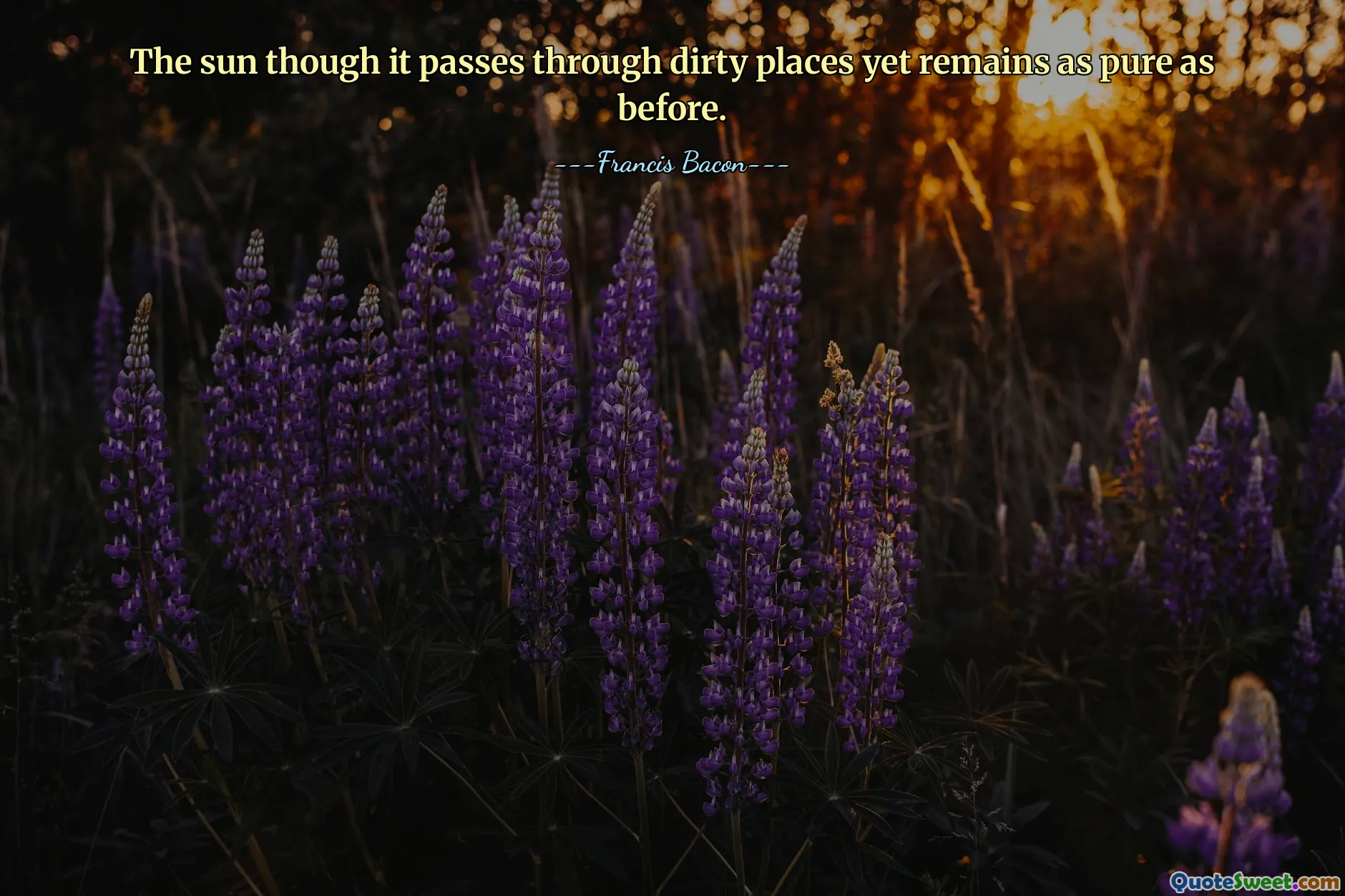 The sun though it passes through dirty places yet remains as pure as before.