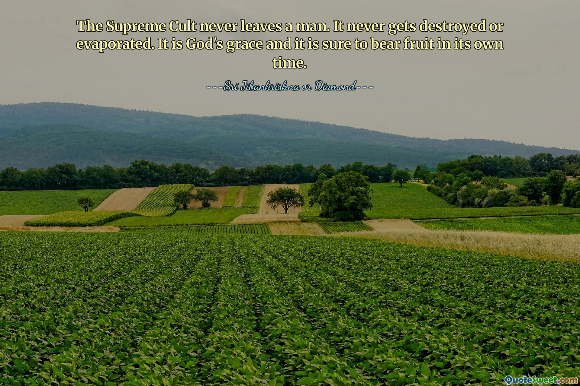 The Supreme Cult never leaves a man. It never gets destroyed or evaporated. It is God's grace and it is sure to bear fruit in its own time.