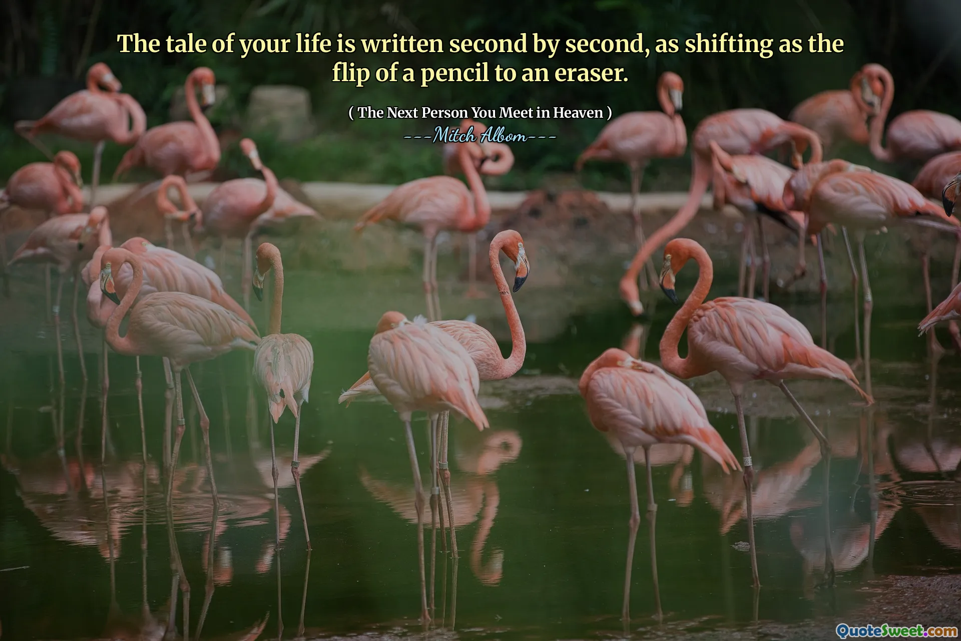 تتم كتابة حكاية حياتك في المرتبة الثانية في الثانية ، حيث تحولت إلى قلم رصاص لممحاة.