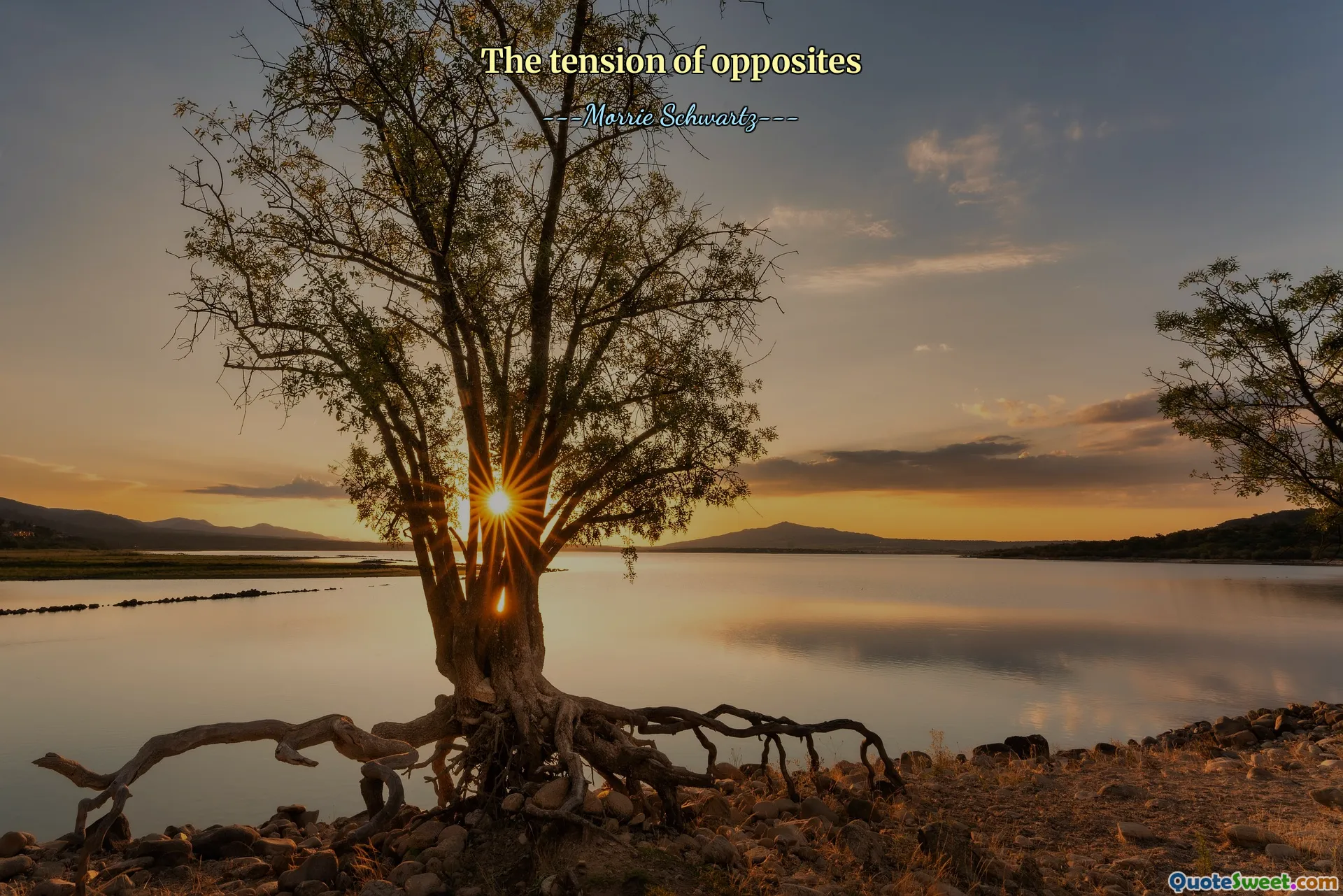 The tension of opposites