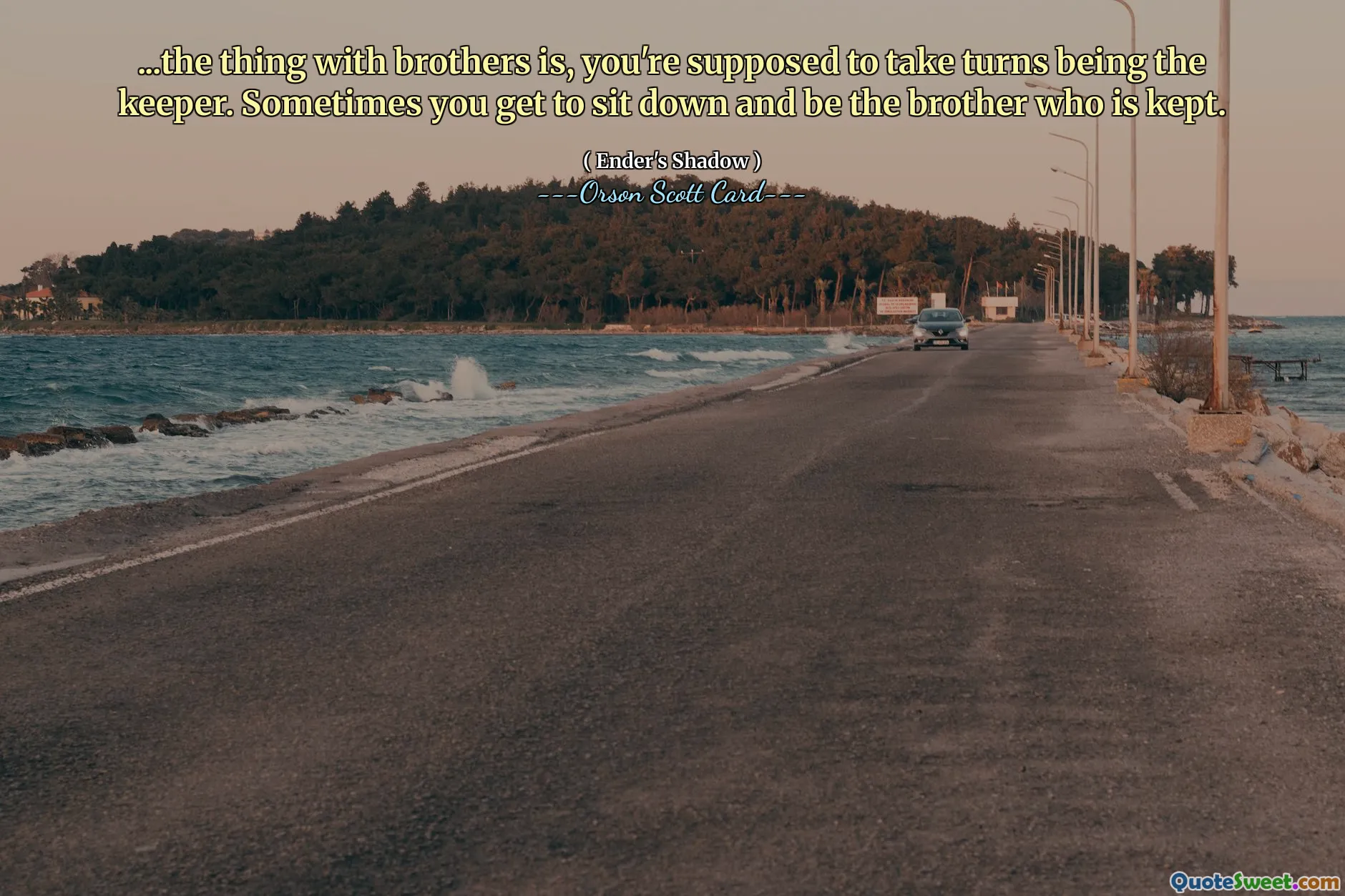 ...兄弟の場合は、交代で番人を務めることになっています。時には、座って飼われている兄弟になれることもあります。