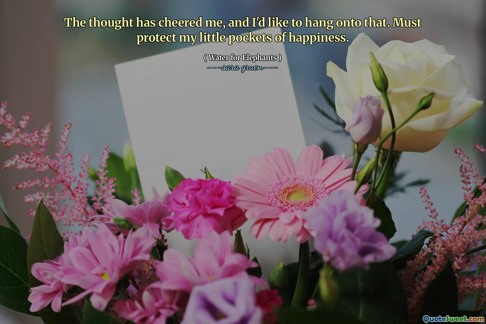 The thought has cheered me, and I'd like to hang onto that. Must protect my little pockets of happiness.