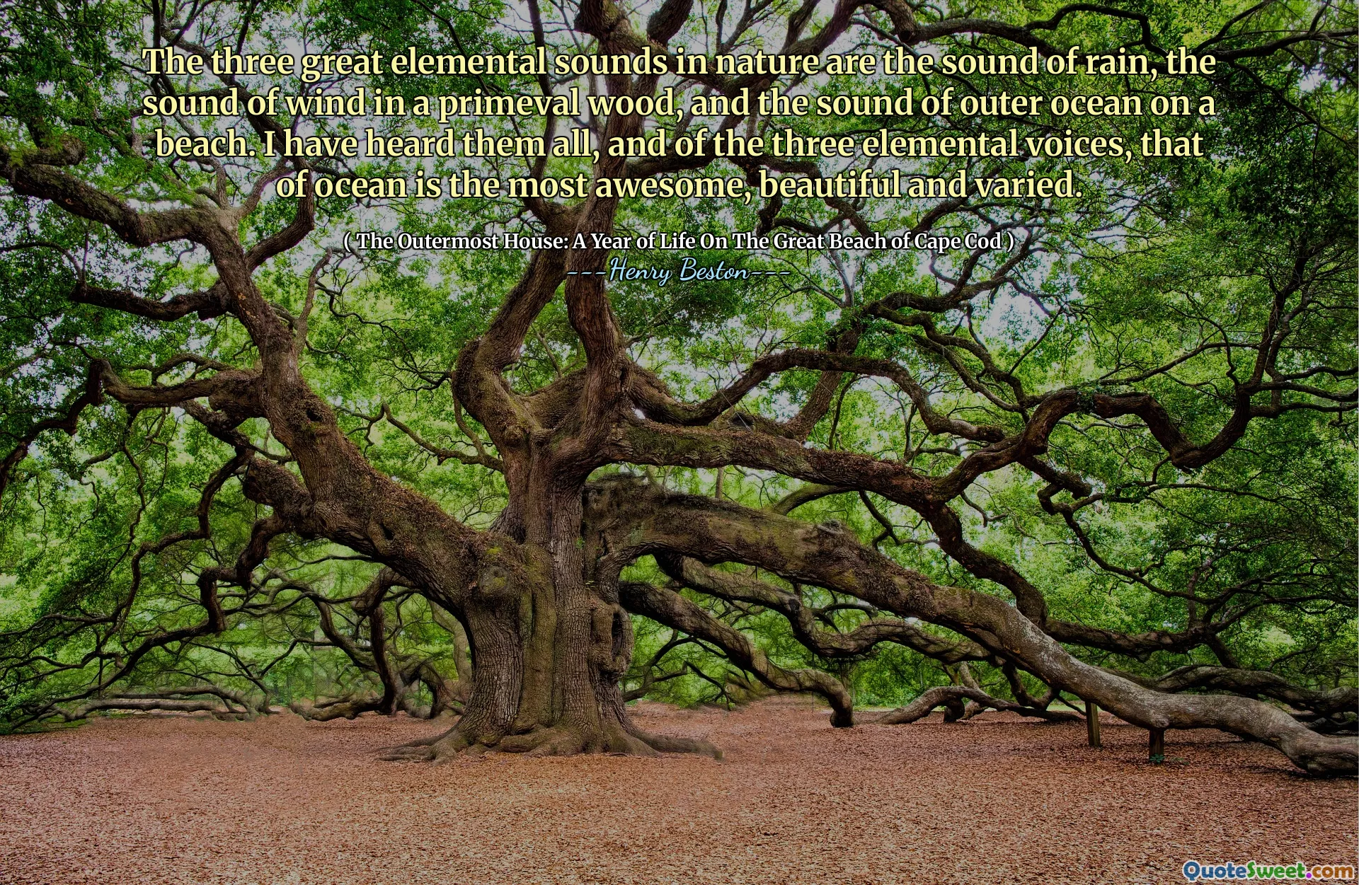 The three great elemental sounds in nature are the sound of rain, the sound of wind in a primeval wood, and the sound of outer ocean on a beach. I have heard them all, and of the three elemental voices, that of ocean is the most awesome, beautiful and varied.