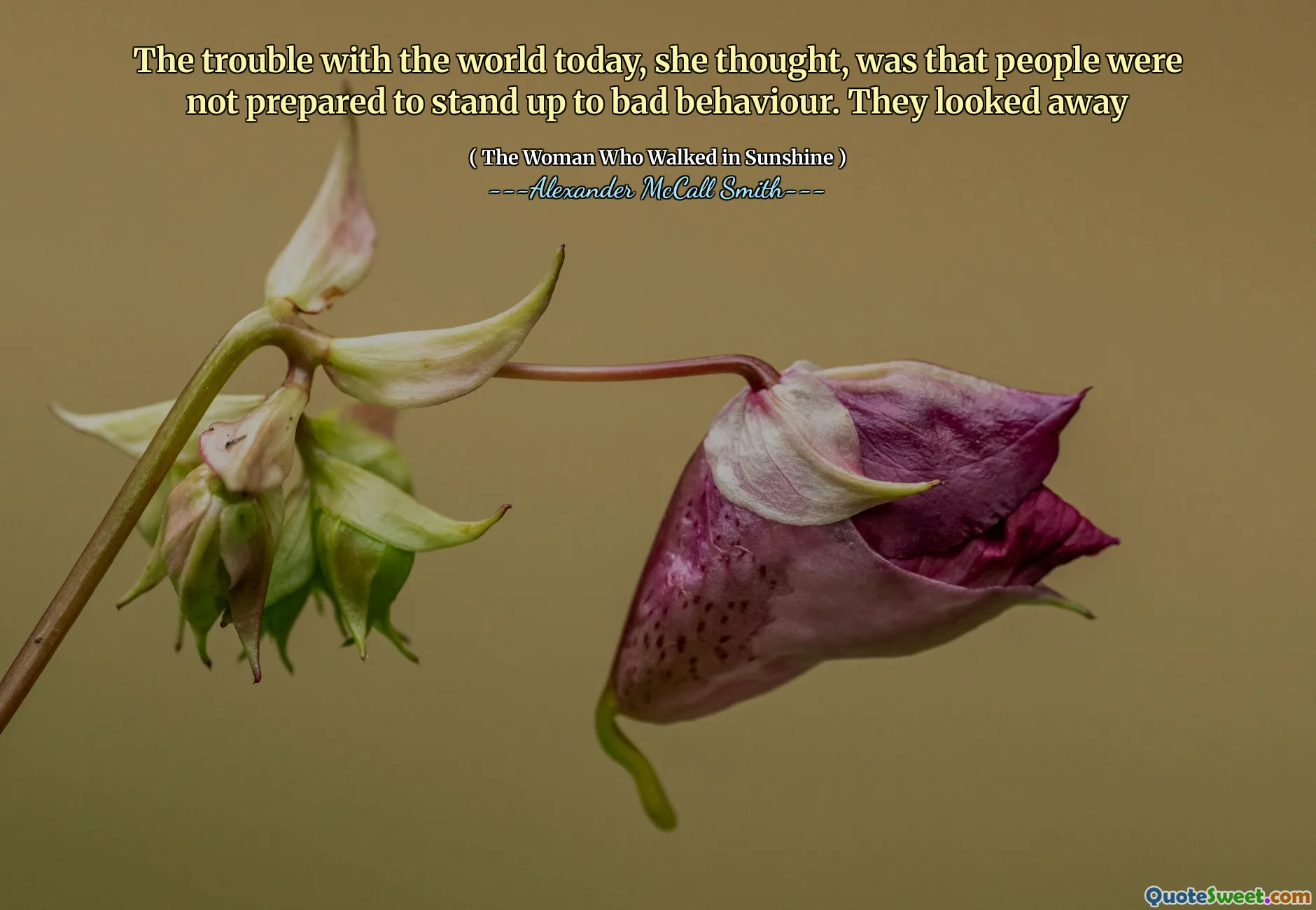 The trouble with the world today, she thought, was that people were not prepared to stand up to bad behaviour. They looked away