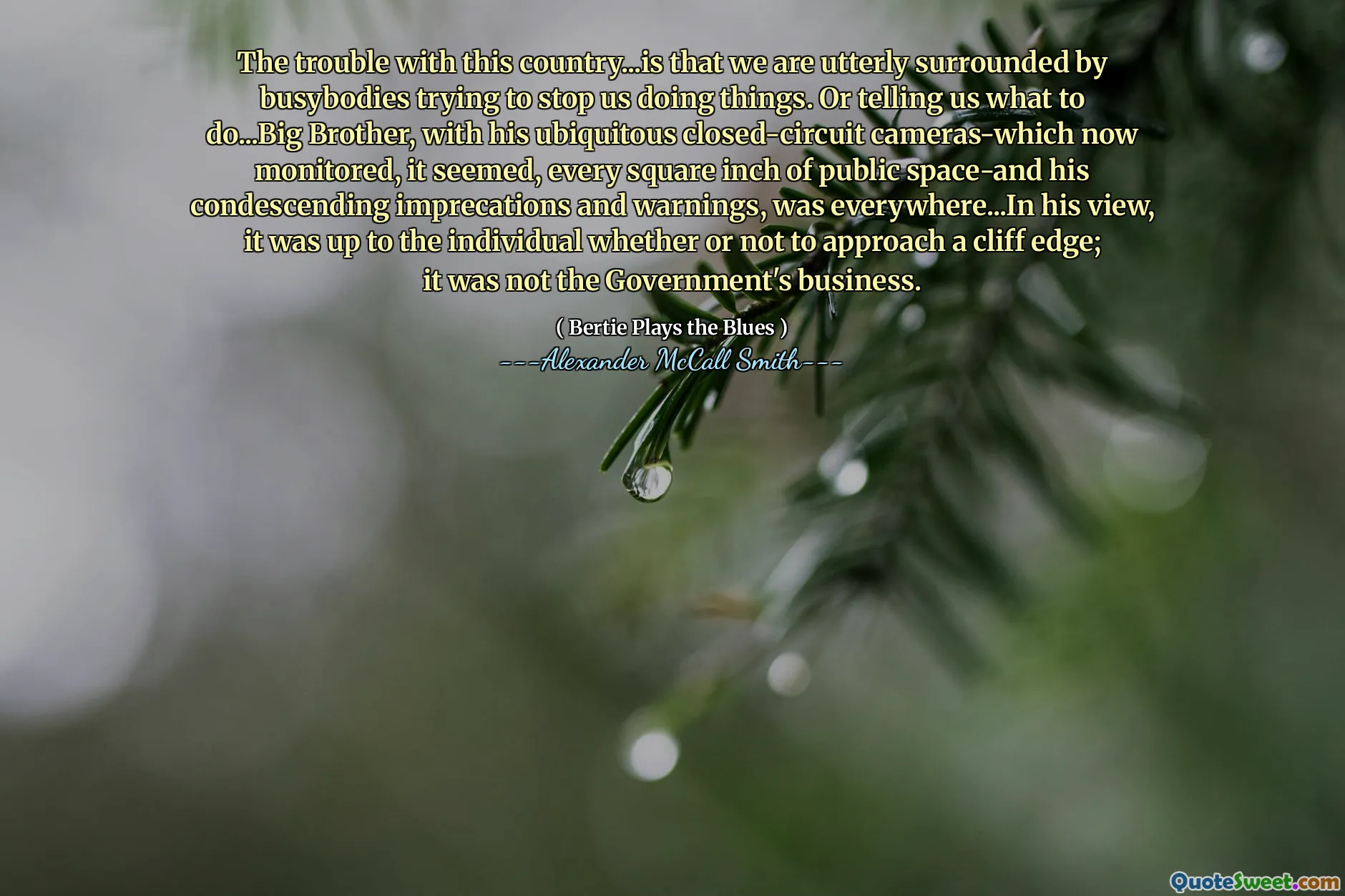 The trouble with this country...is that we are utterly surrounded by busybodies trying to stop us doing things. Or telling us what to do...Big Brother, with his ubiquitous closed-circuit cameras-which now monitored, it seemed, every square inch of public space-and his condescending imprecations and warnings, was everywhere...In his view, it was up to the individual whether or not to approach a cliff edge; it was not the Government's business.