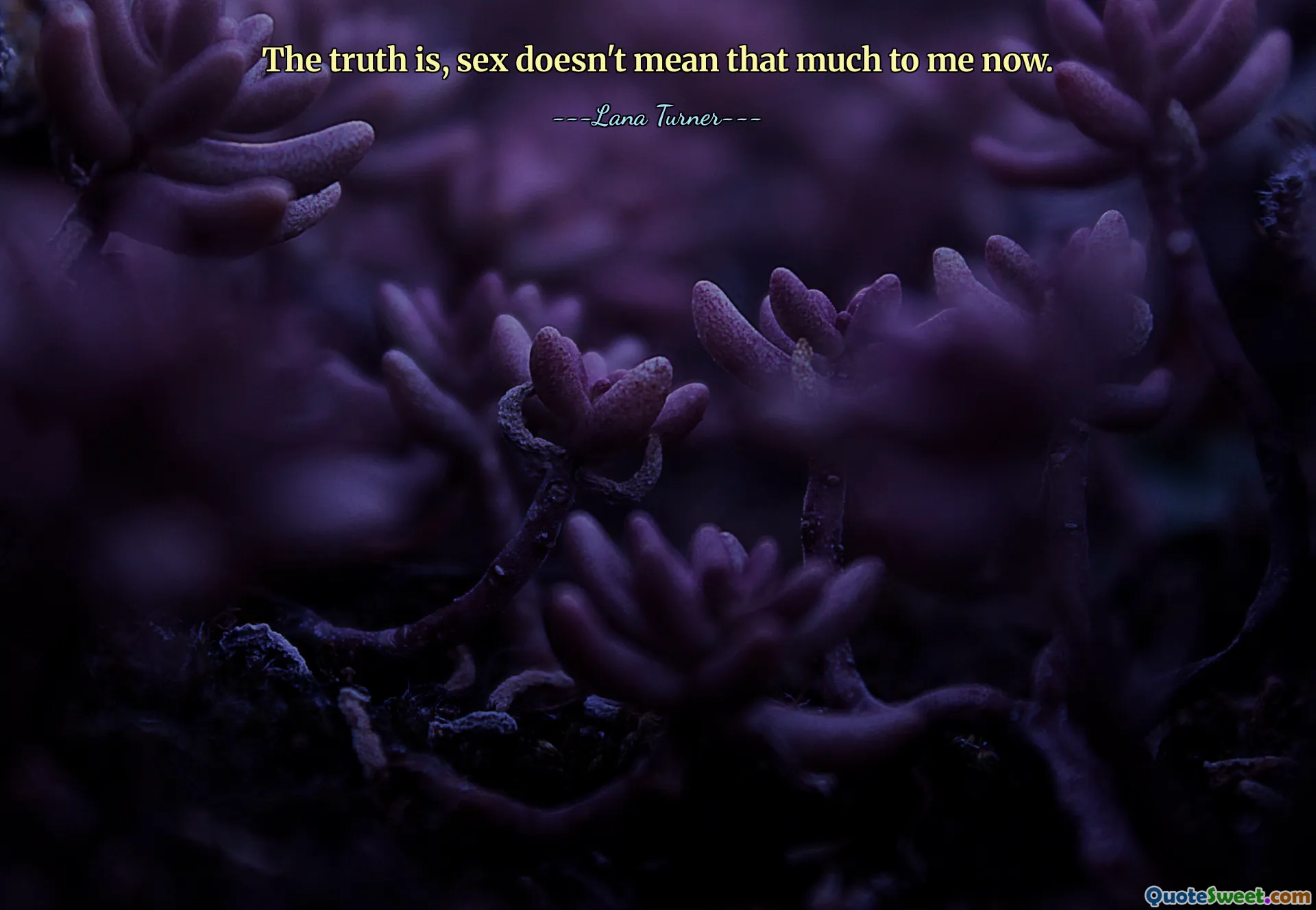 The truth is, sex doesn't mean that much to me now.